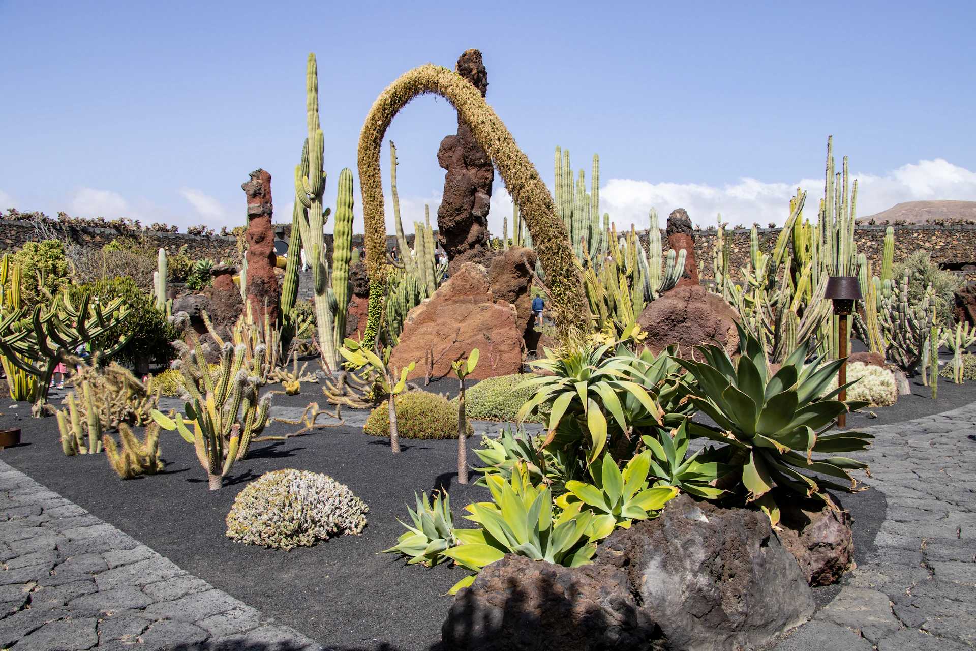 black and white bed linen