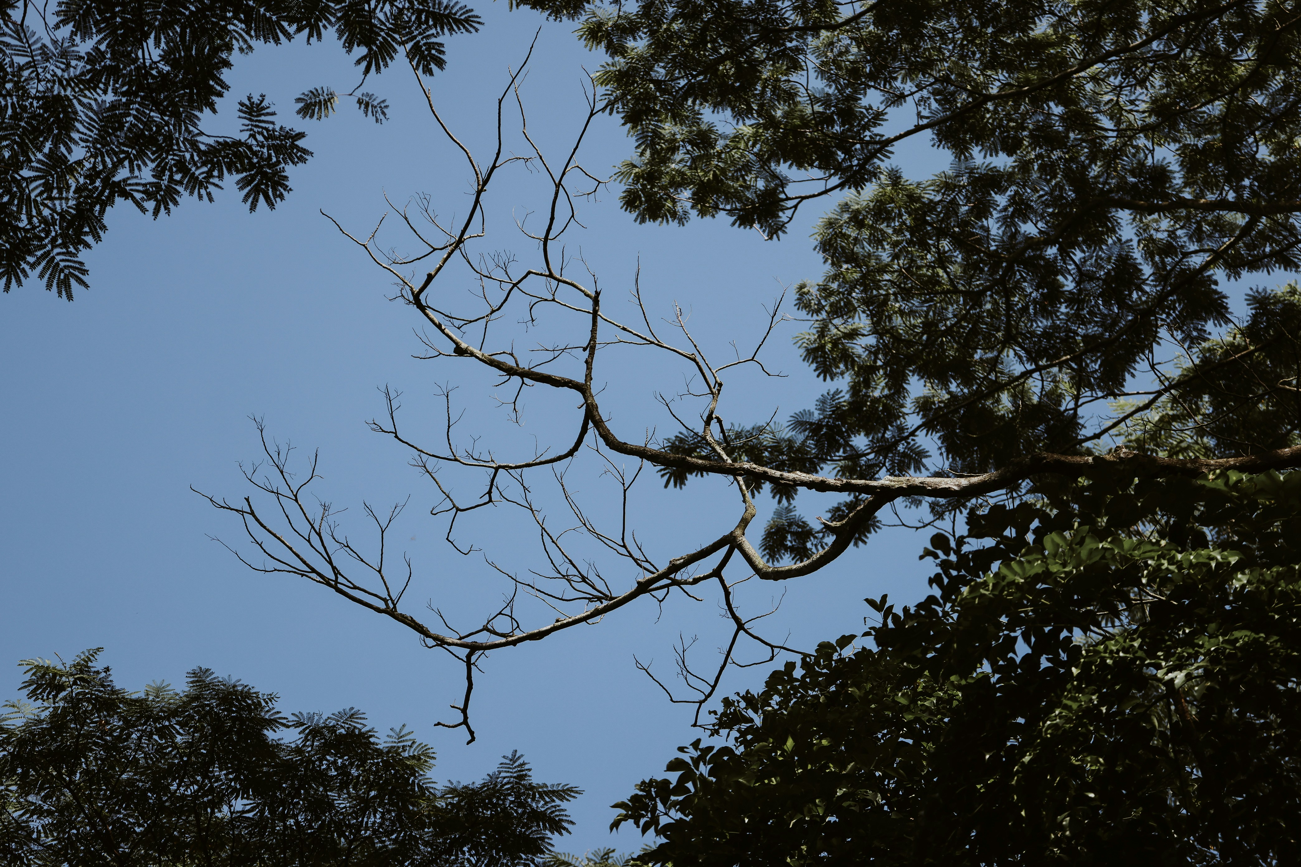 Photo by dickenslin76