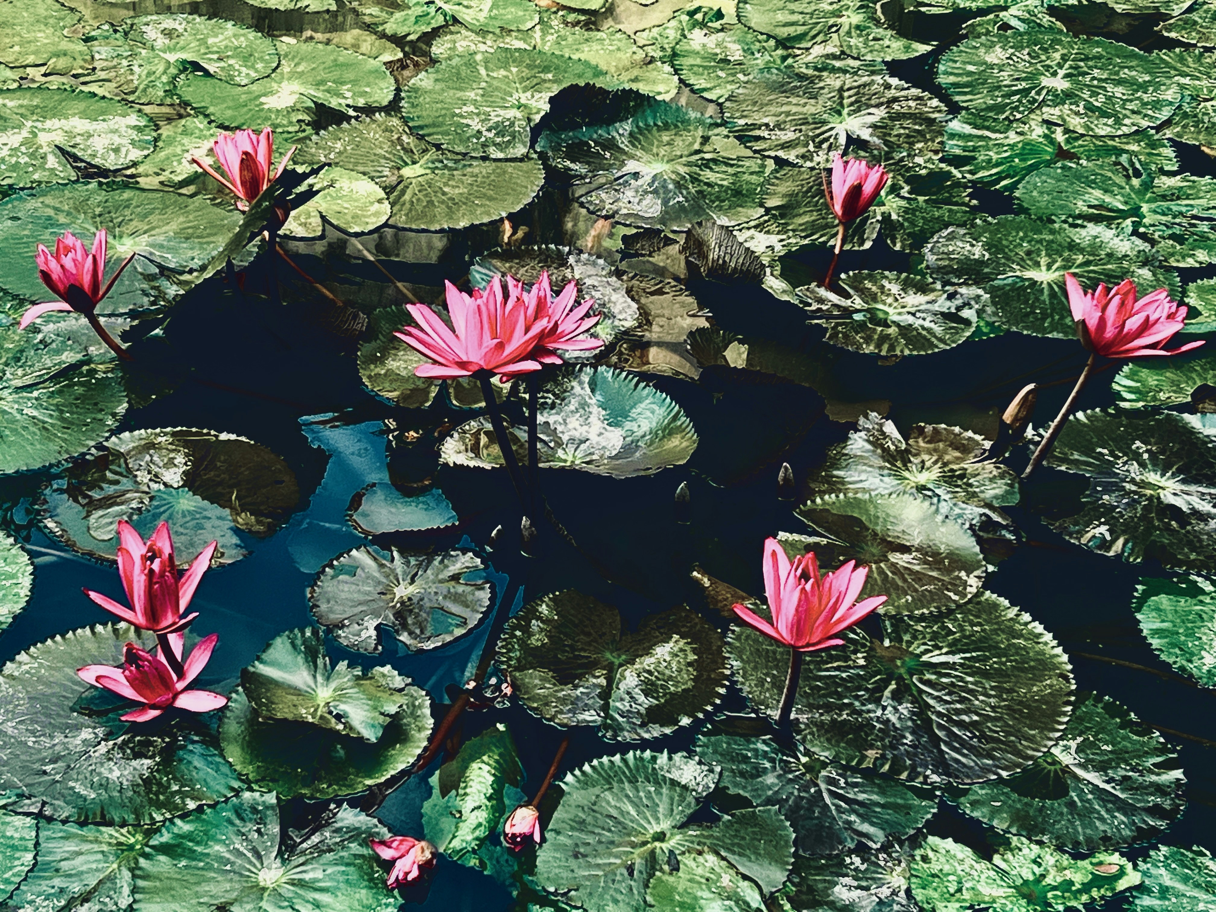 Photo by thanhliem178