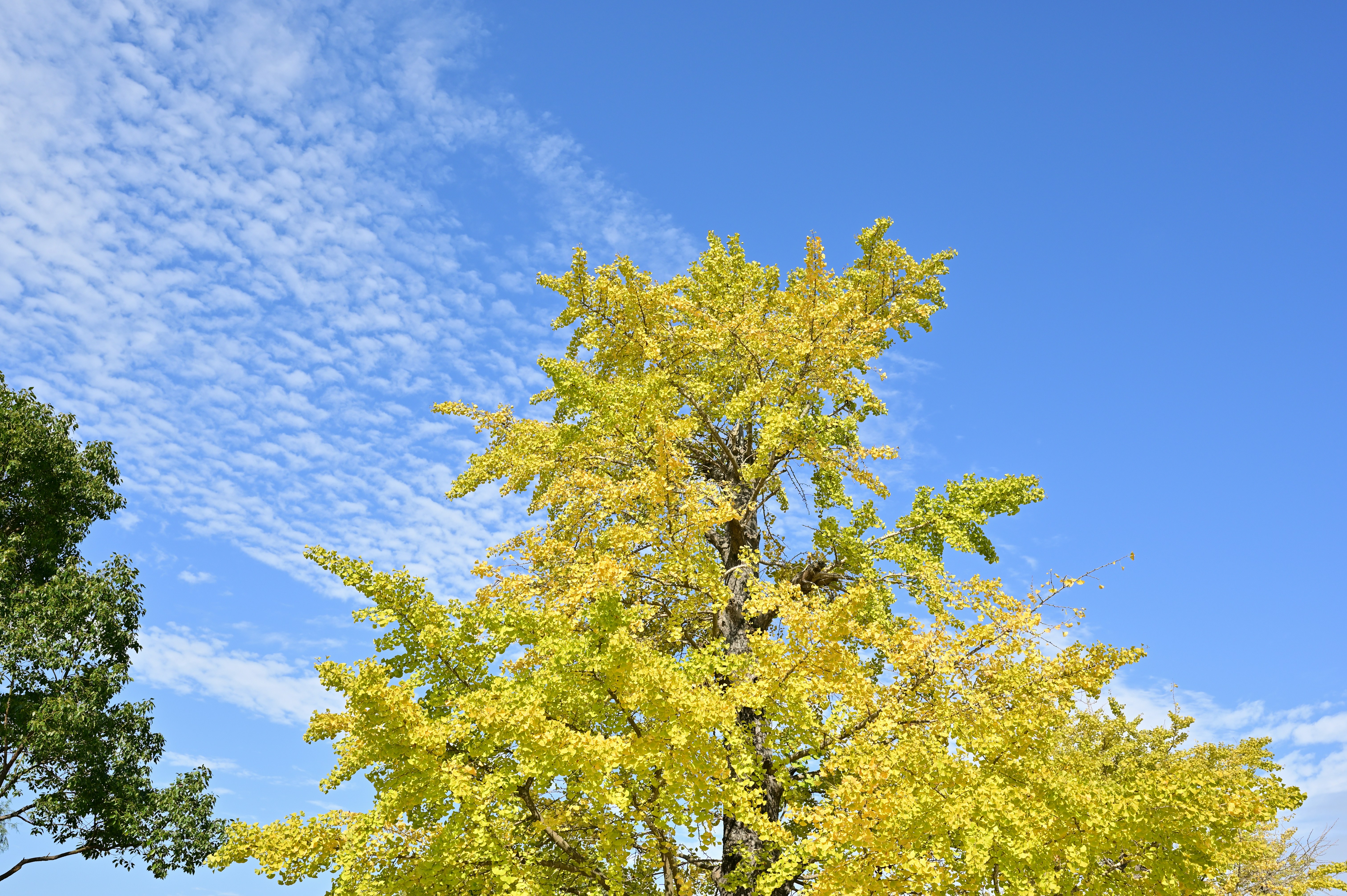 Photo by zhouchuanming