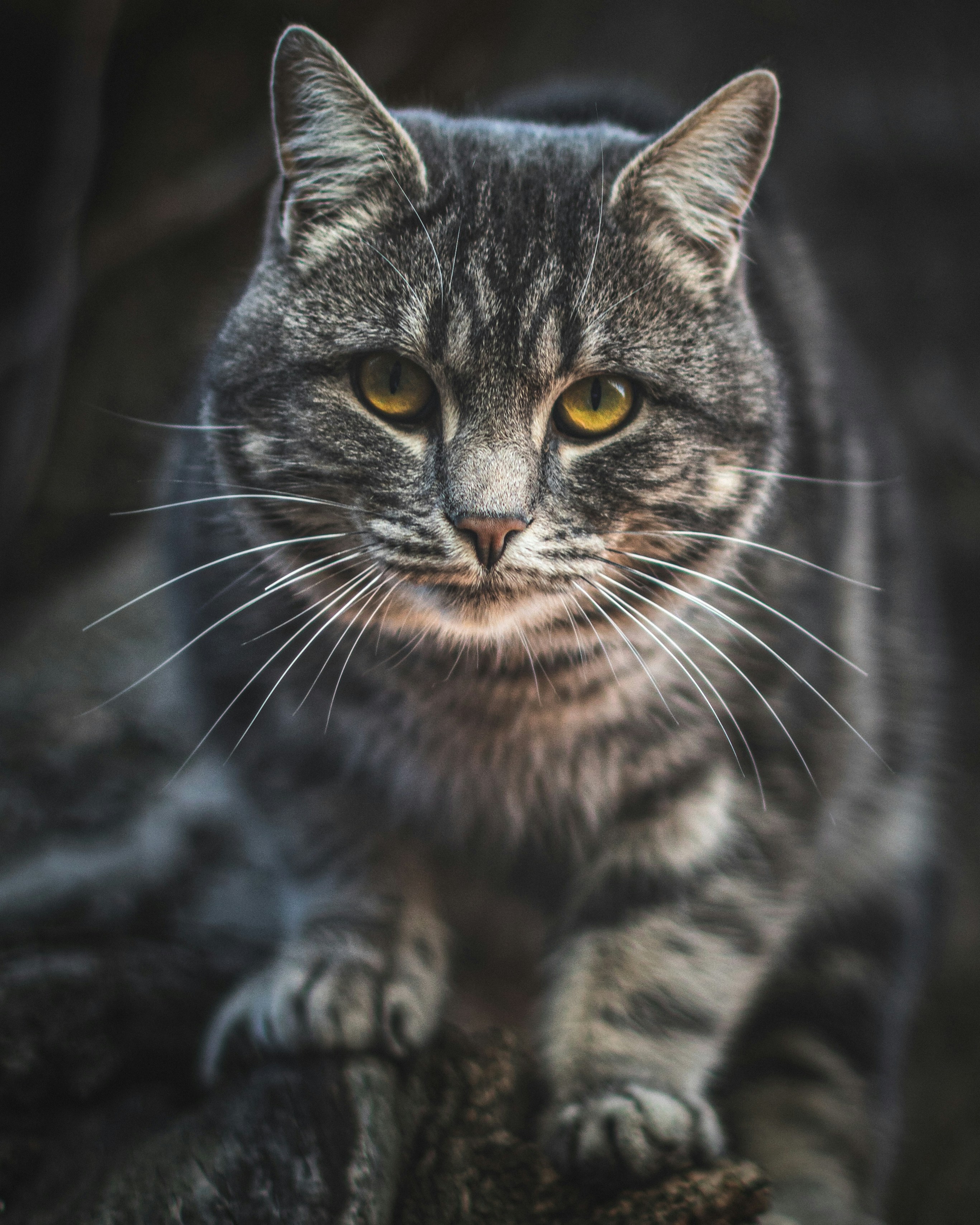 Photo by vadym_chumak