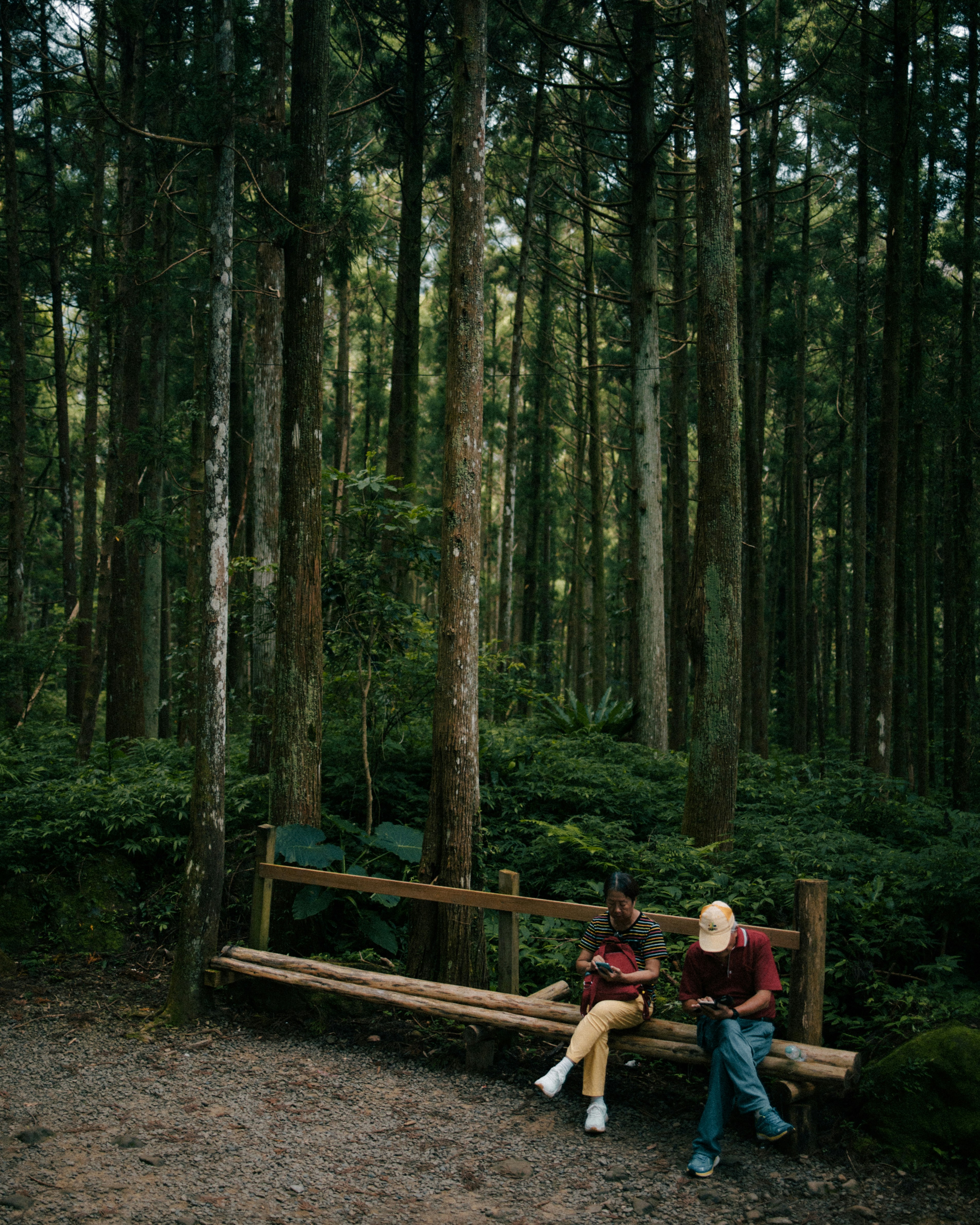 Chapitres D'or Bibliques