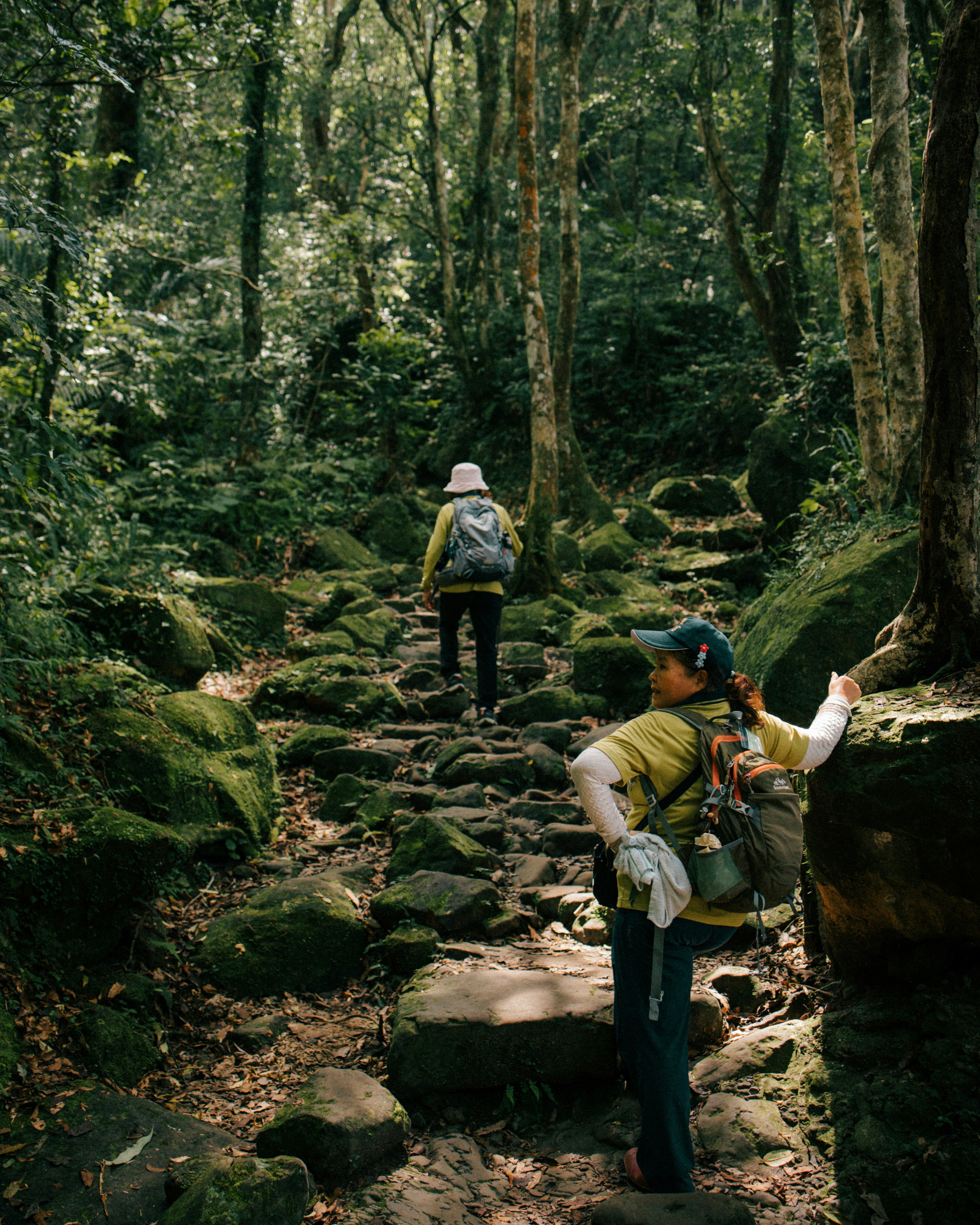 a couple of people that are walking in the woods