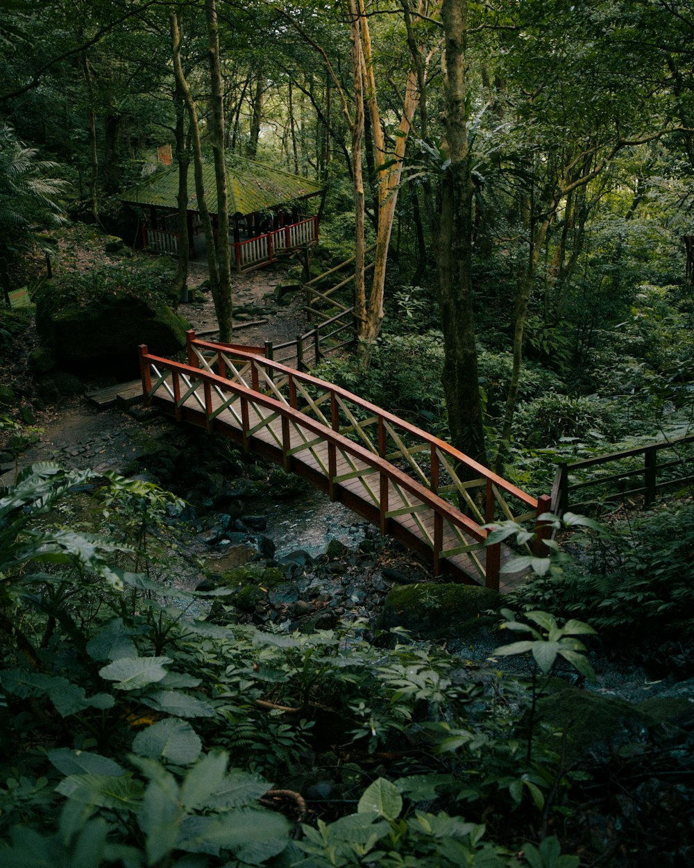 a wooden bridge in the middle of a forest