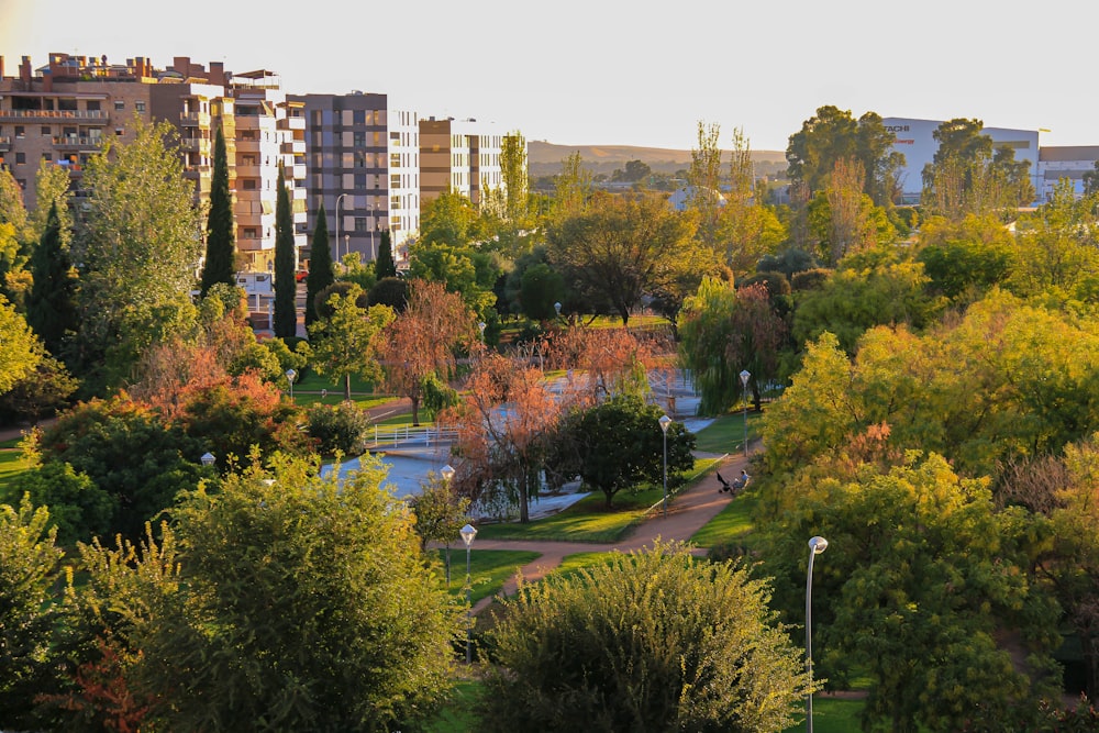 a view of a park with trees and buildings in the background