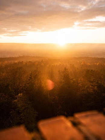 A beautiful sunrise or sunset over a forested landscape with golden hues spreading across the sky and trees. The sun is partially obscured by clouds, and the scene is bathed in warm, golden light. The sky is partly cloudy, and the image has a serene and peaceful atmosphere.