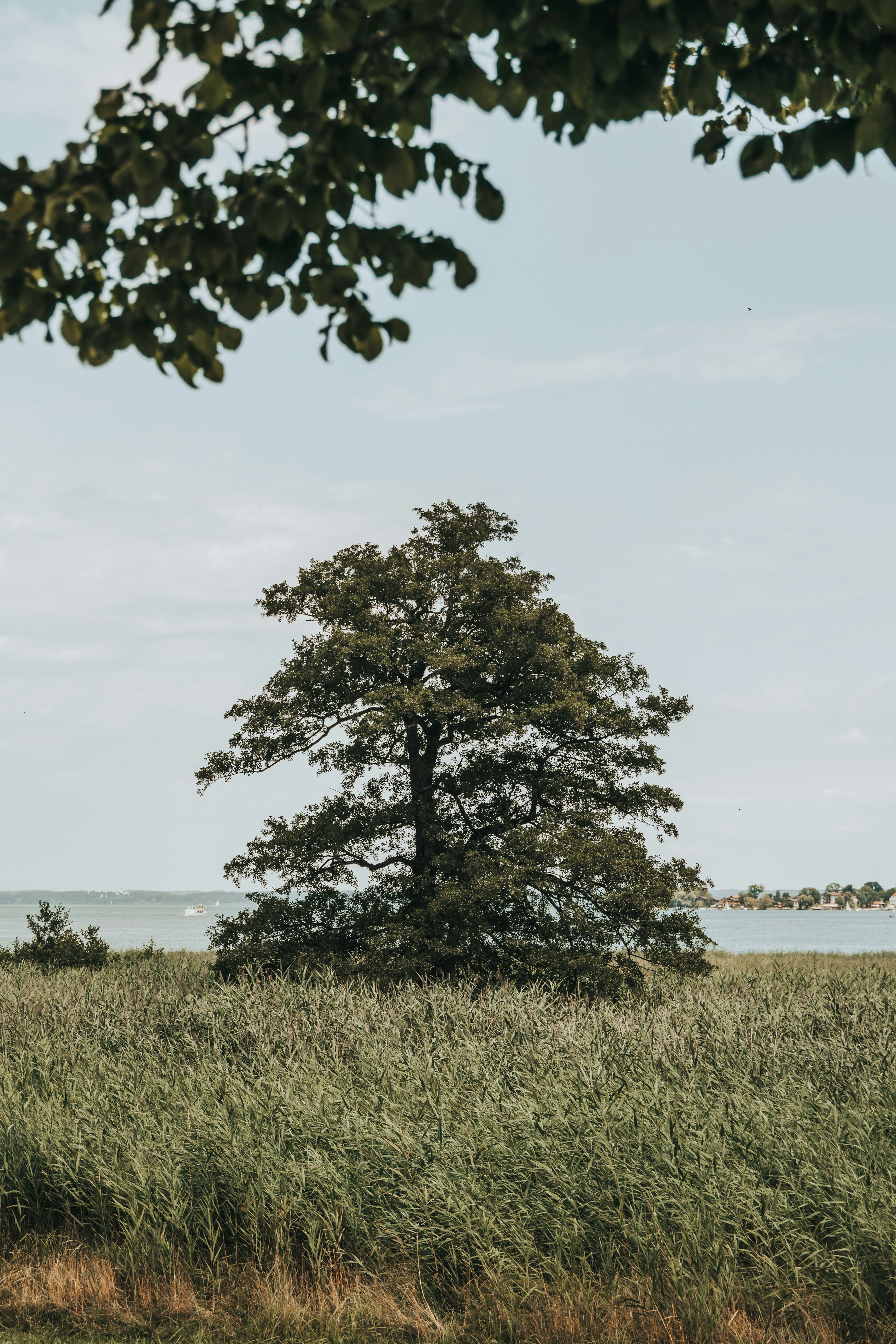 Photo by masoodaslami