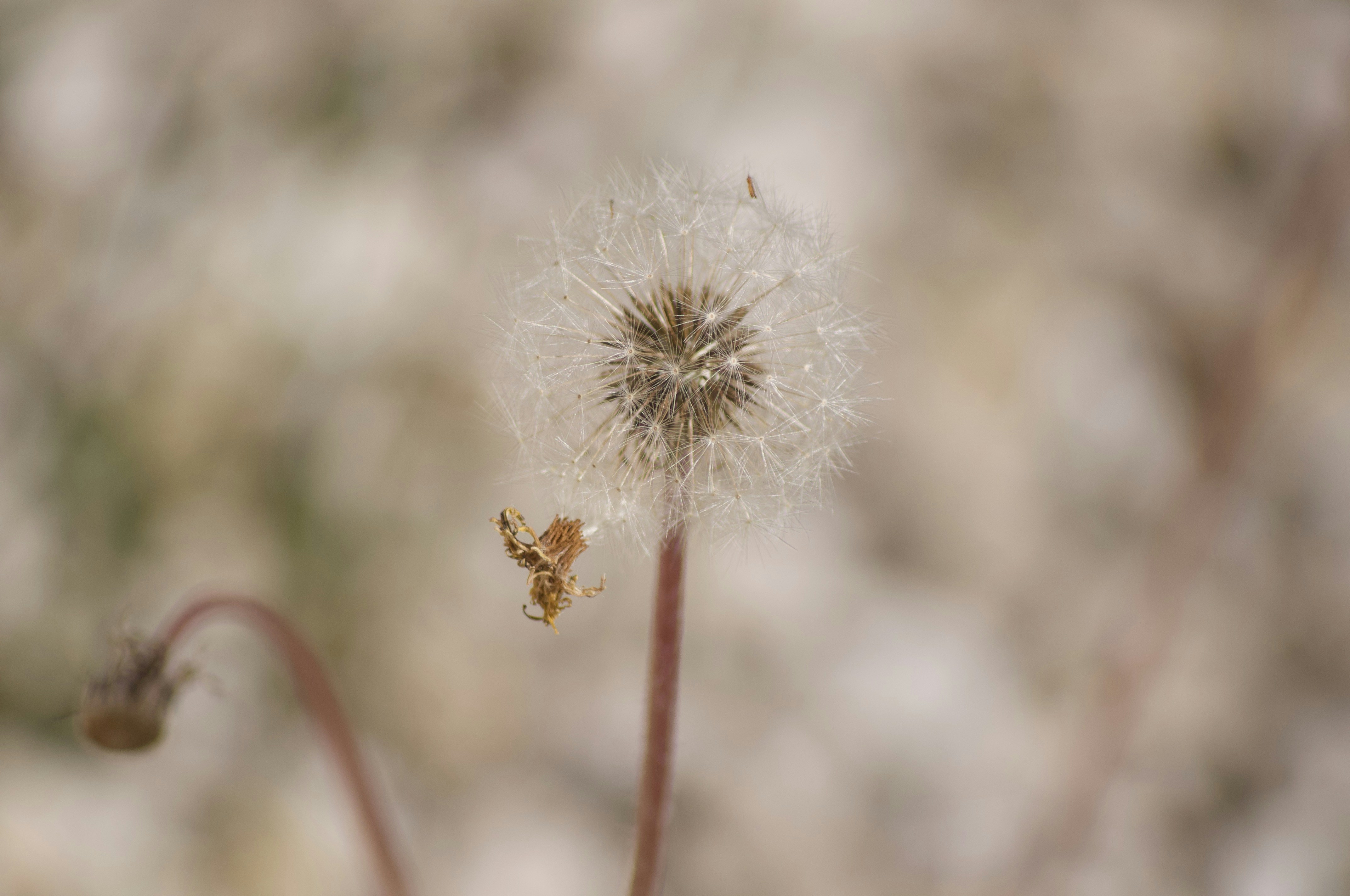 Photo by jeremiemagni