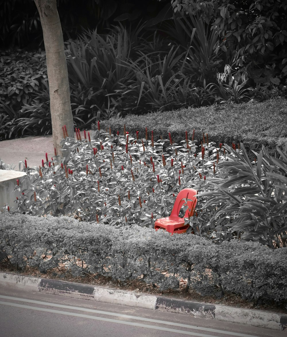 a red chair sitting in the middle of a garden