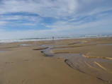 Jady exploring a sandy beach with waves gently rolling in the background.