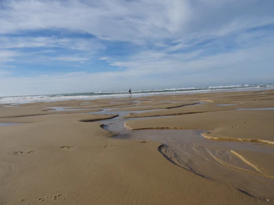 Jady exploring a sandy beach with waves gently rolling in the background.