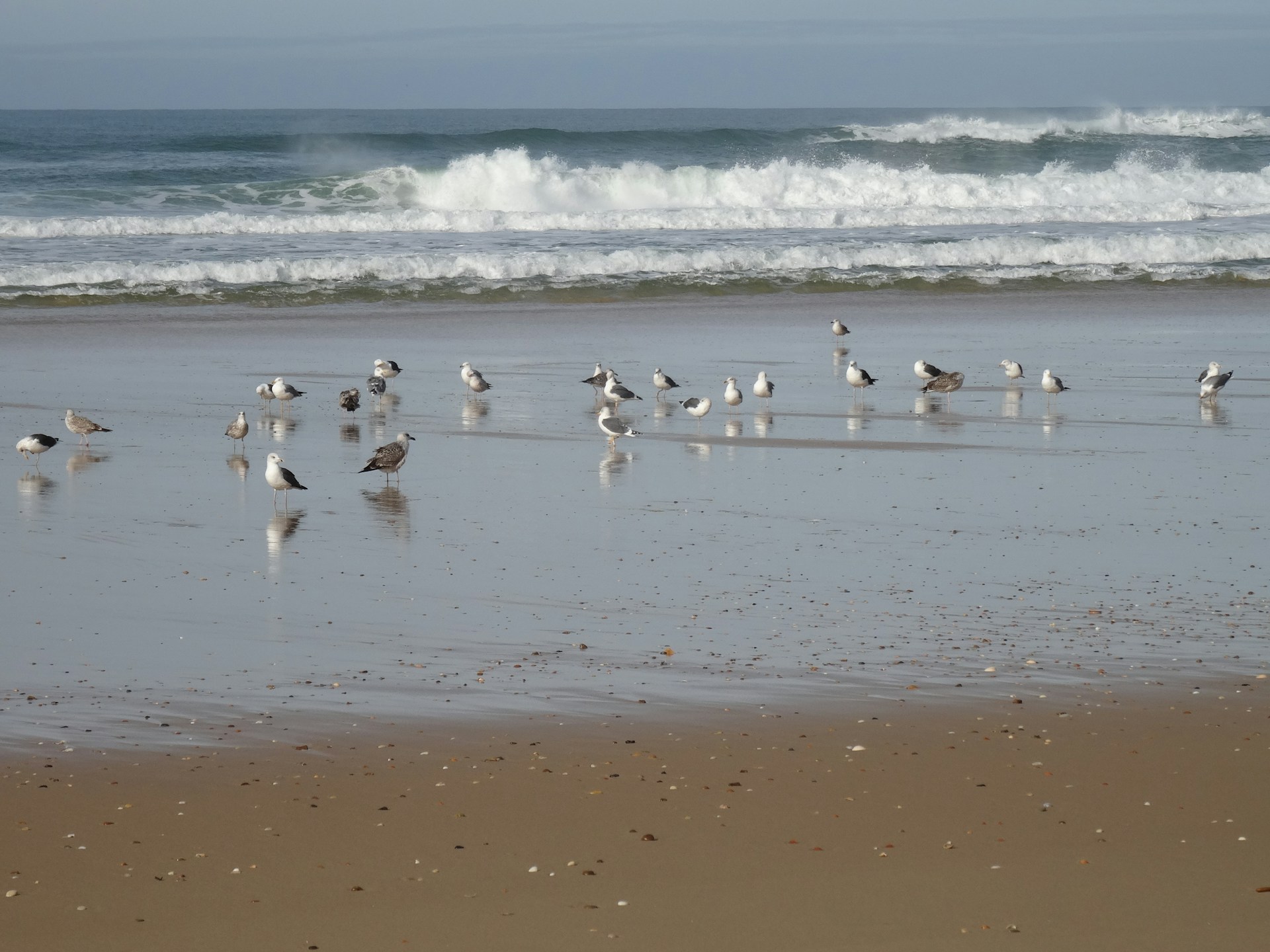 gray computer monitor