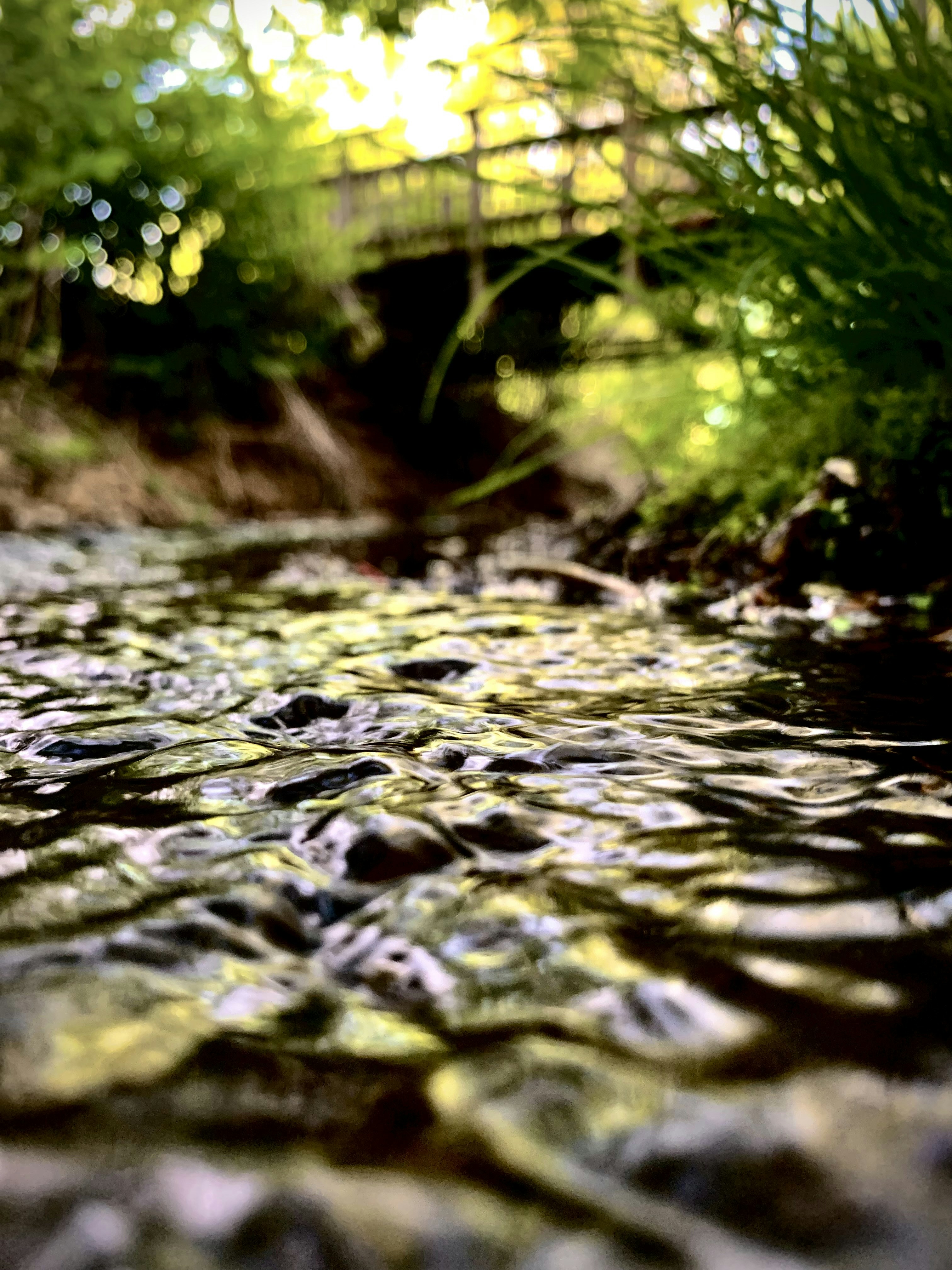 Photo by adialinkous
