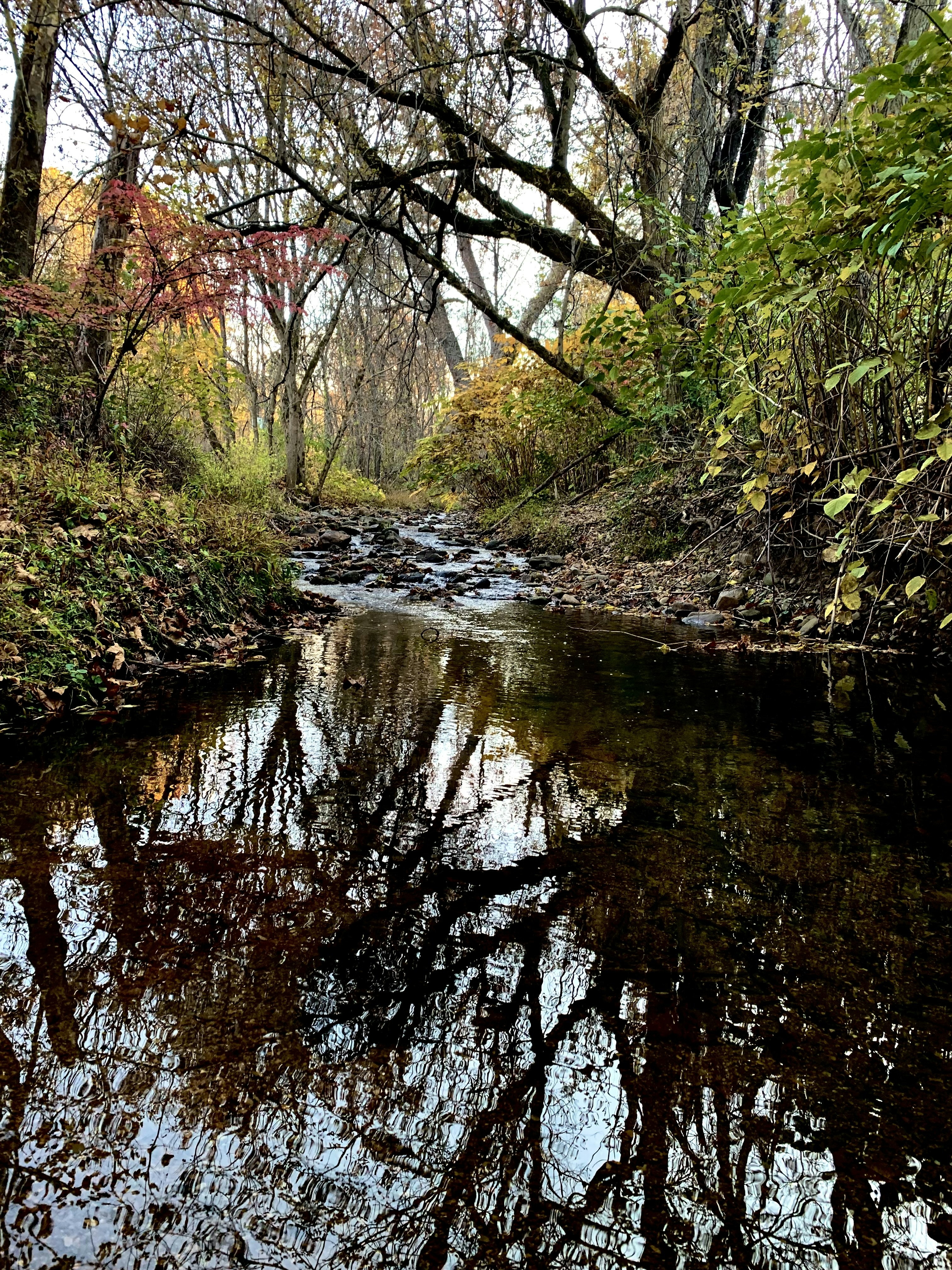 Photo by adialinkous