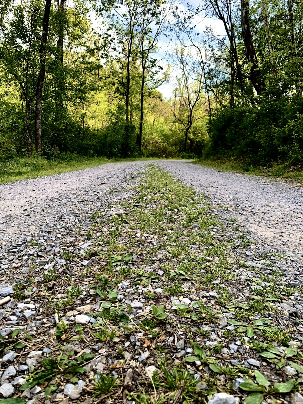 a stop sign on the side of a gravel road