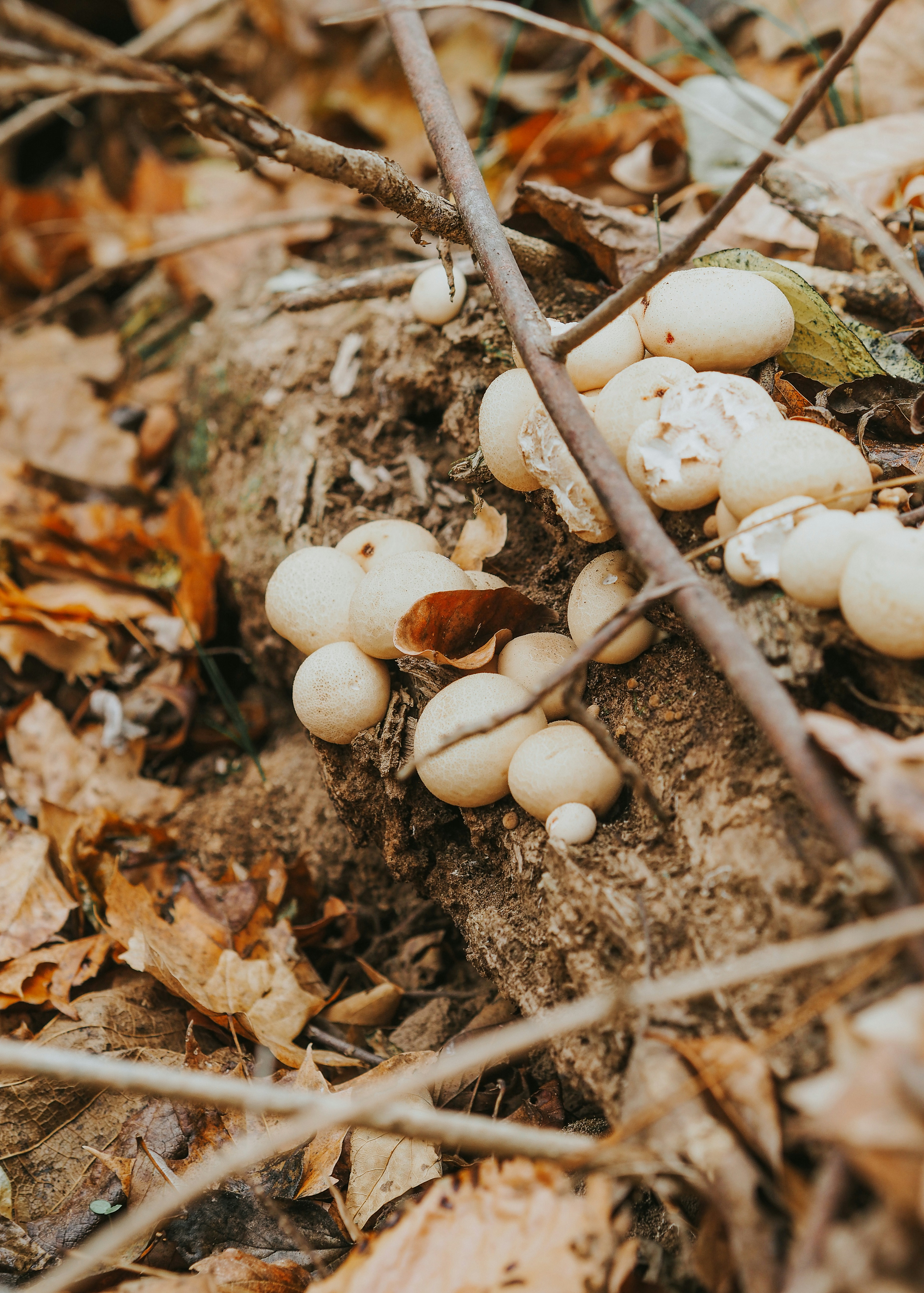 Photo by fieldworkframes