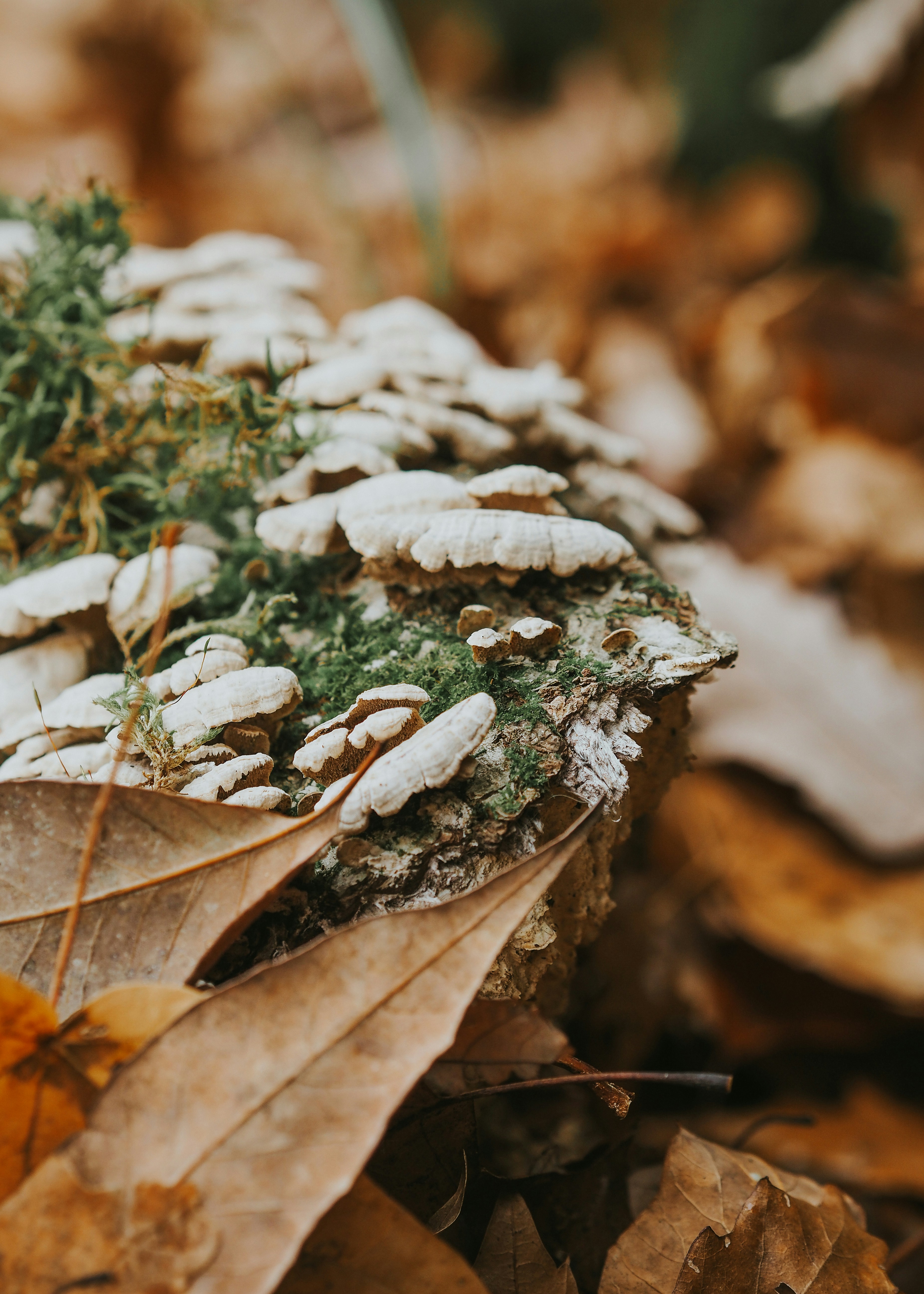 Photo by fieldworkframes