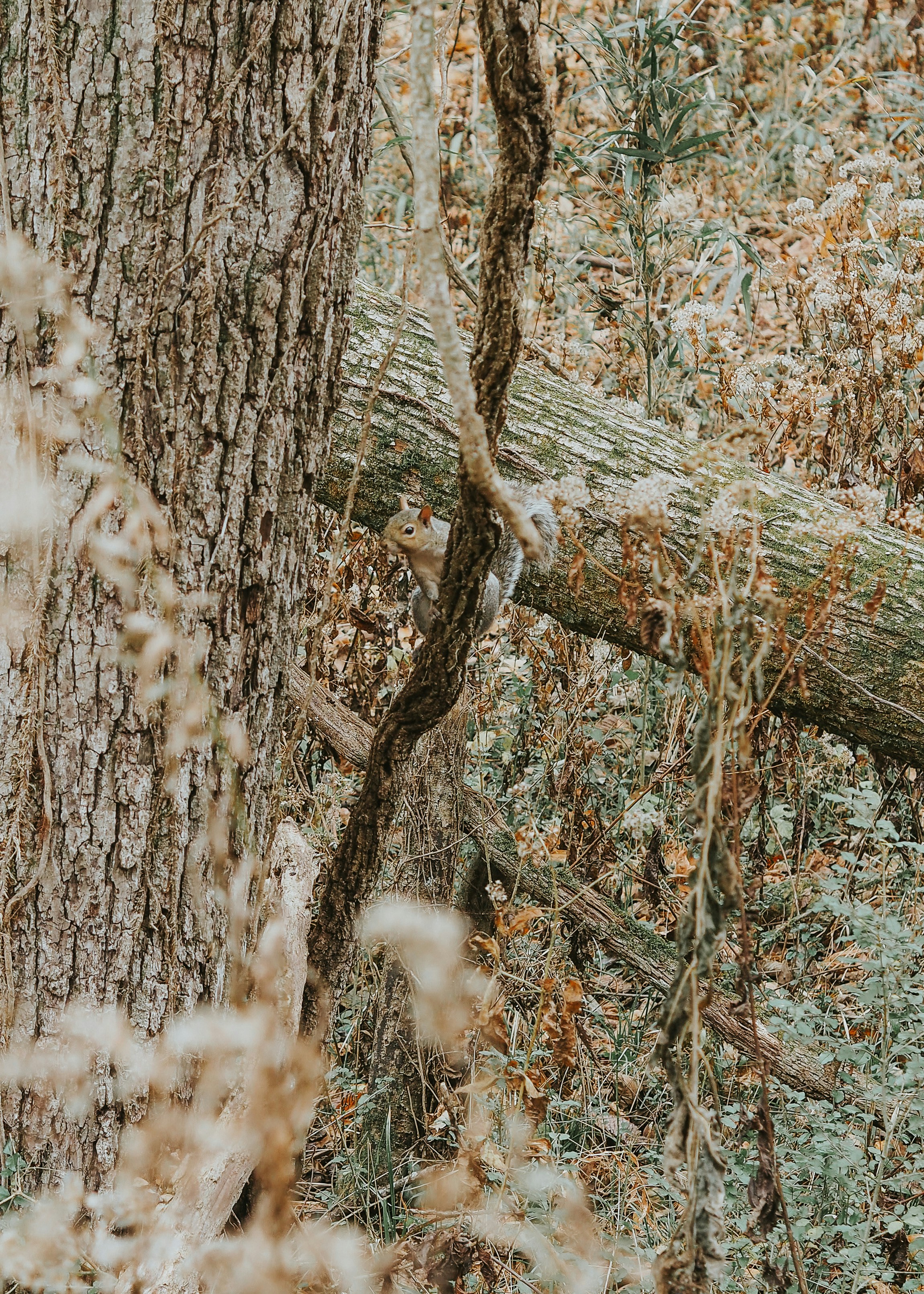 Photo by fieldworkframes