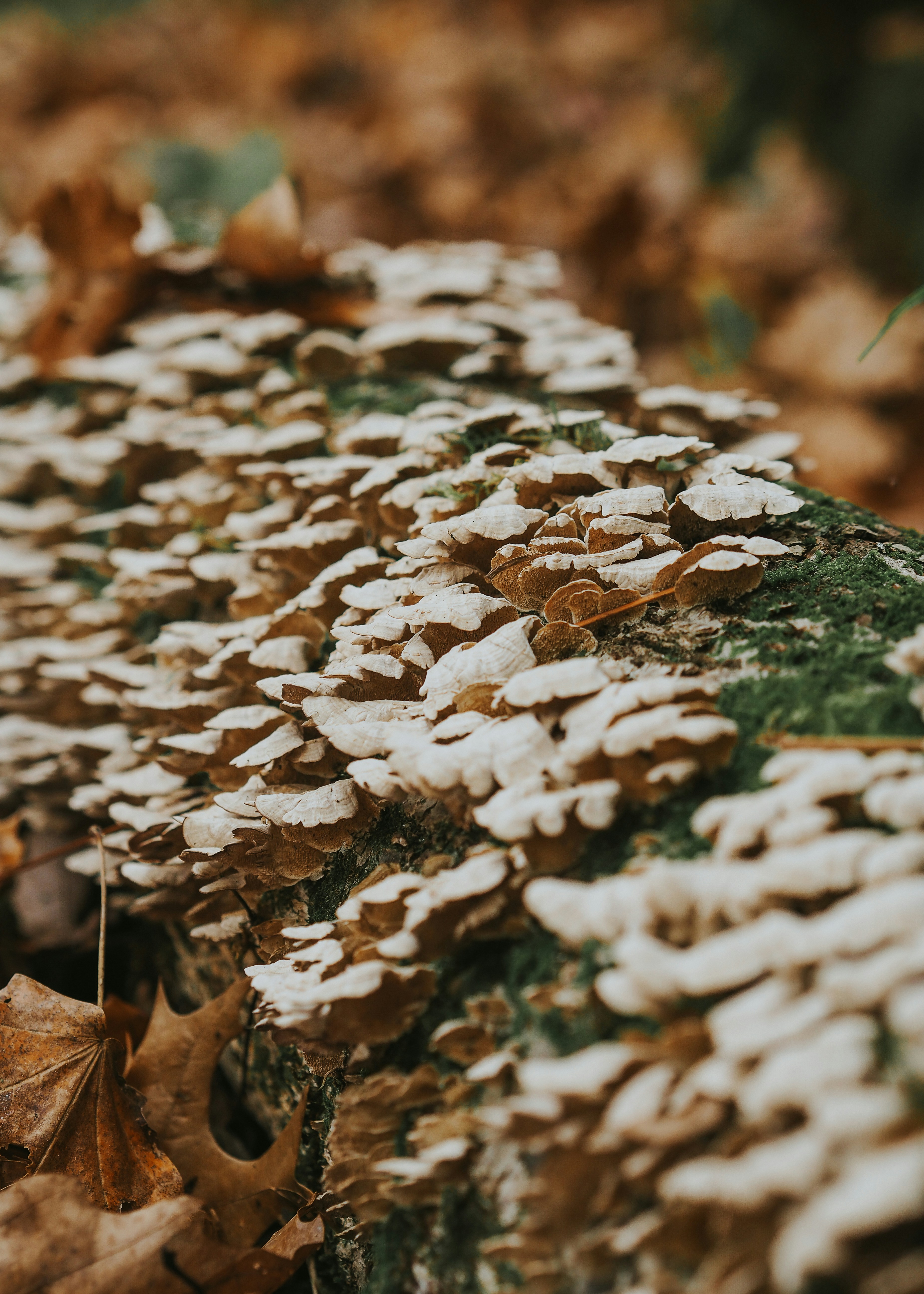 Photo by fieldworkframes