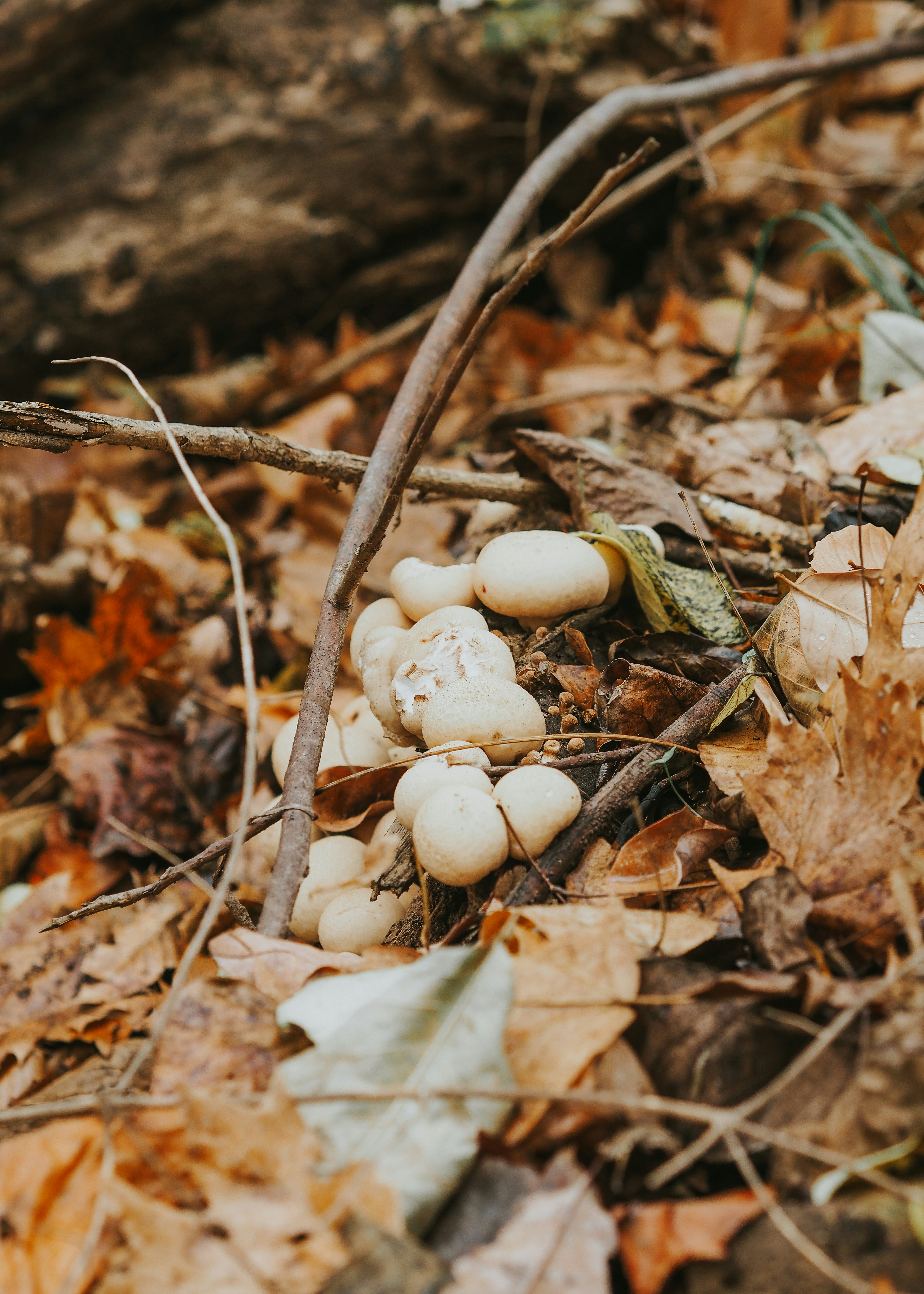 Photo by fieldworkframes