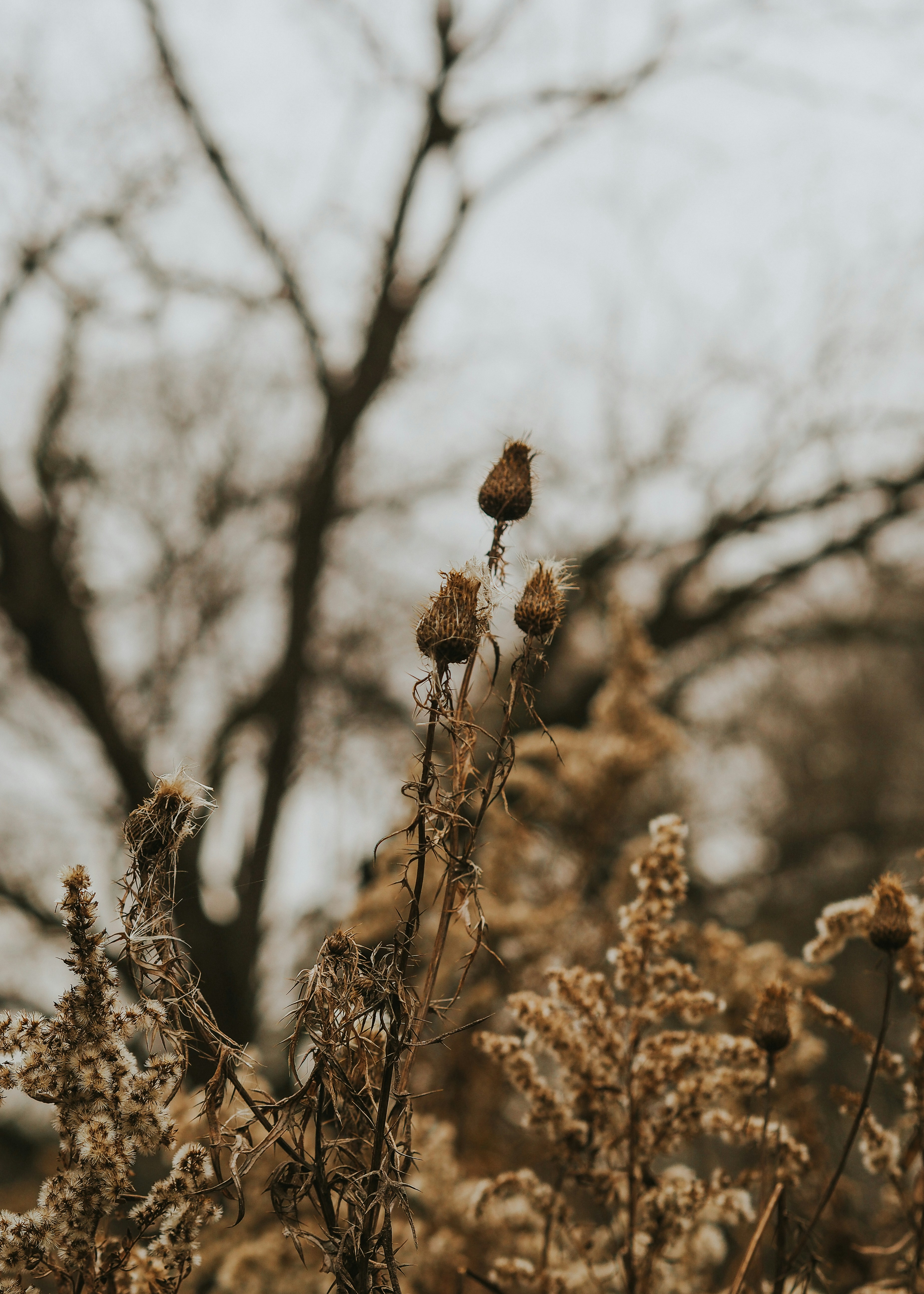 Photo by fieldworkframes