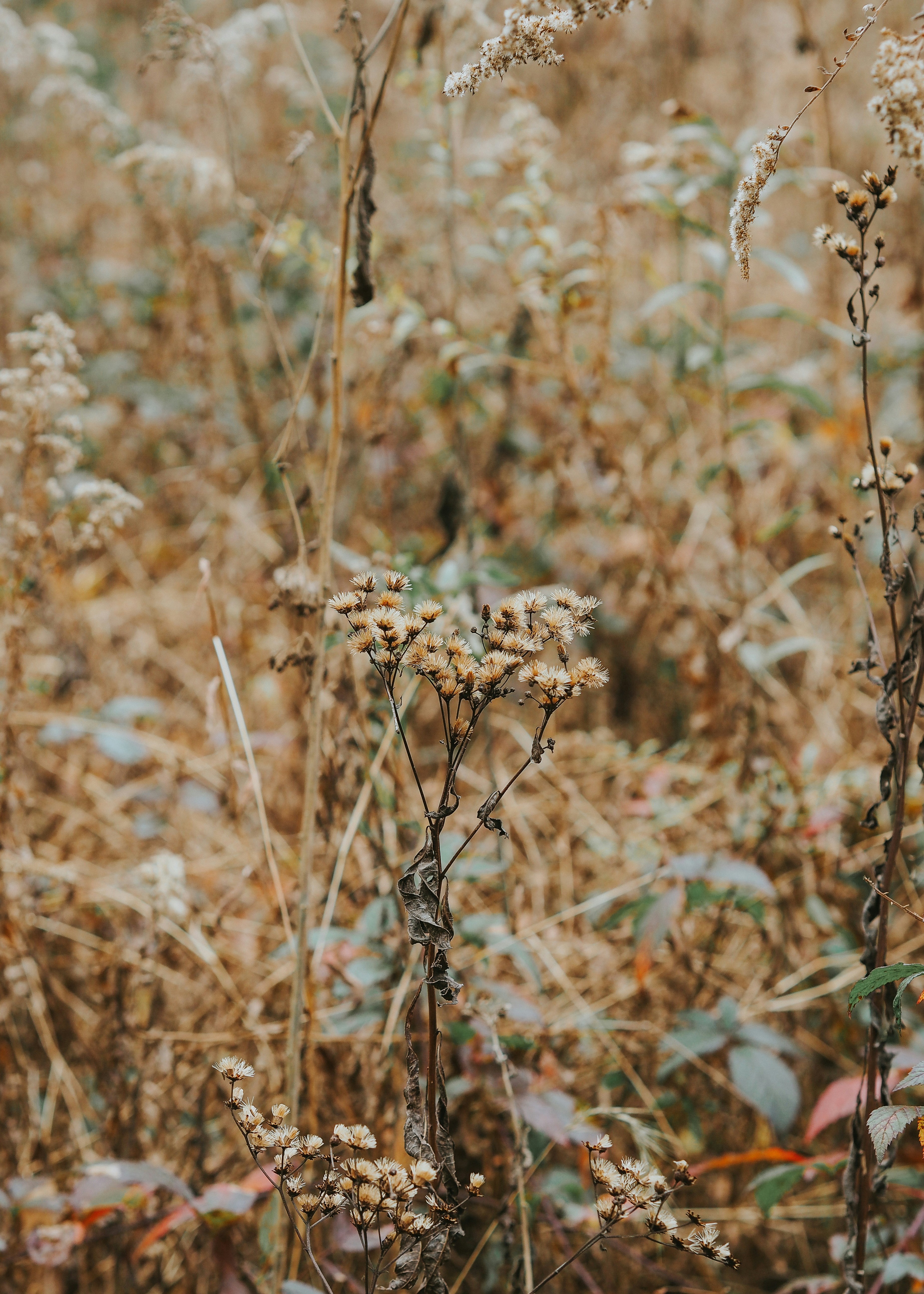 Photo by fieldworkframes