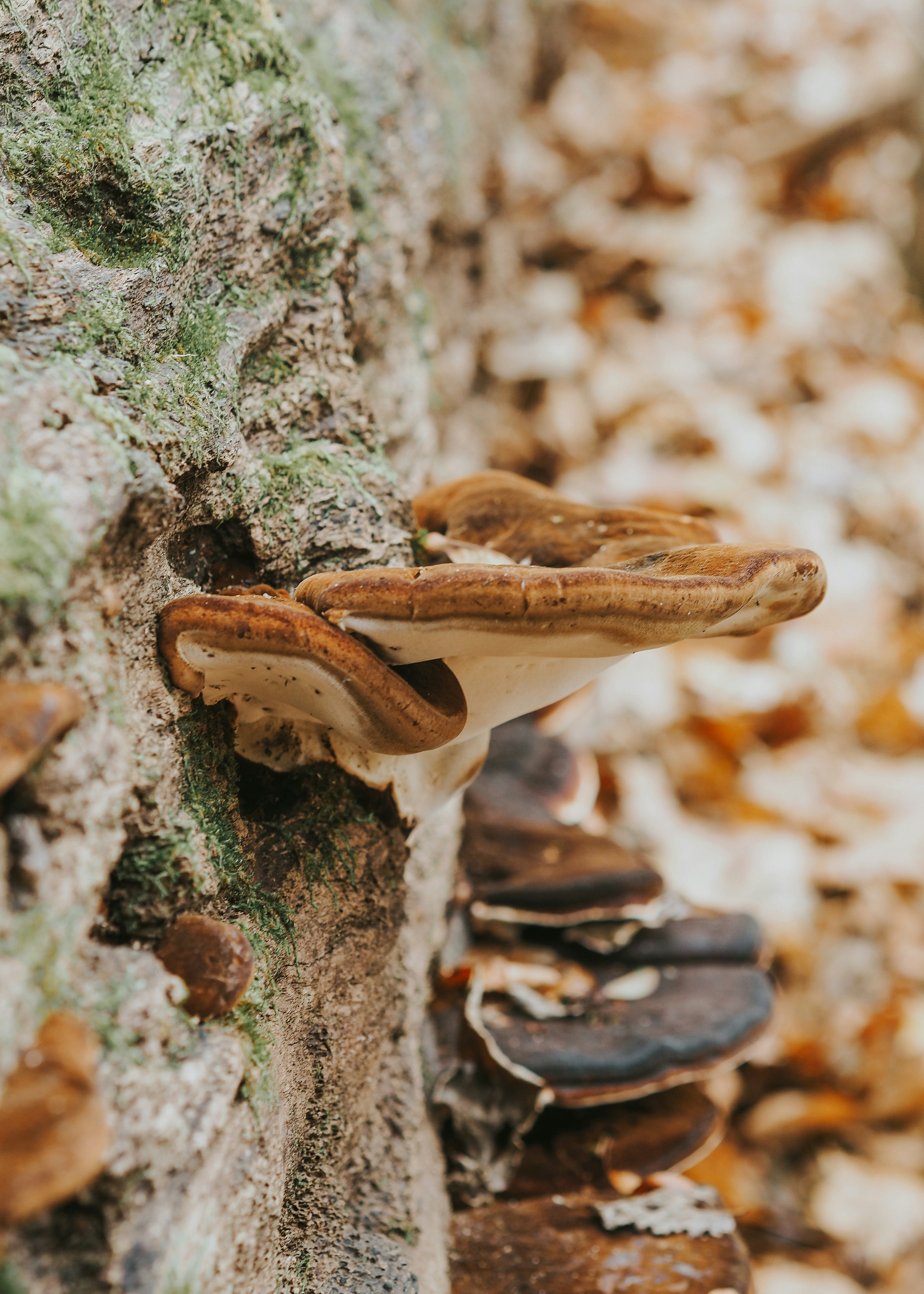 Photo by fieldworkframes