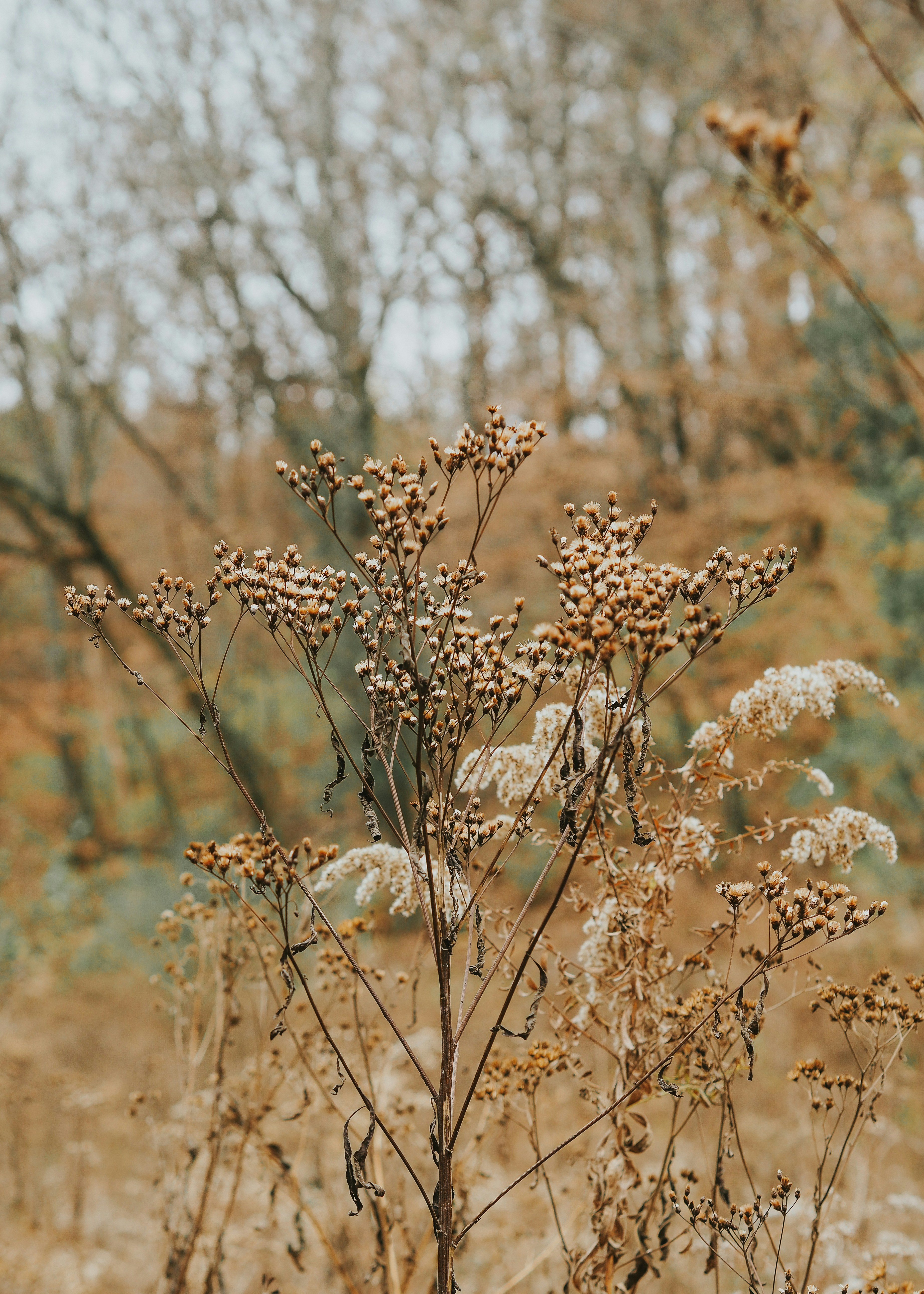 Photo by fieldworkframes