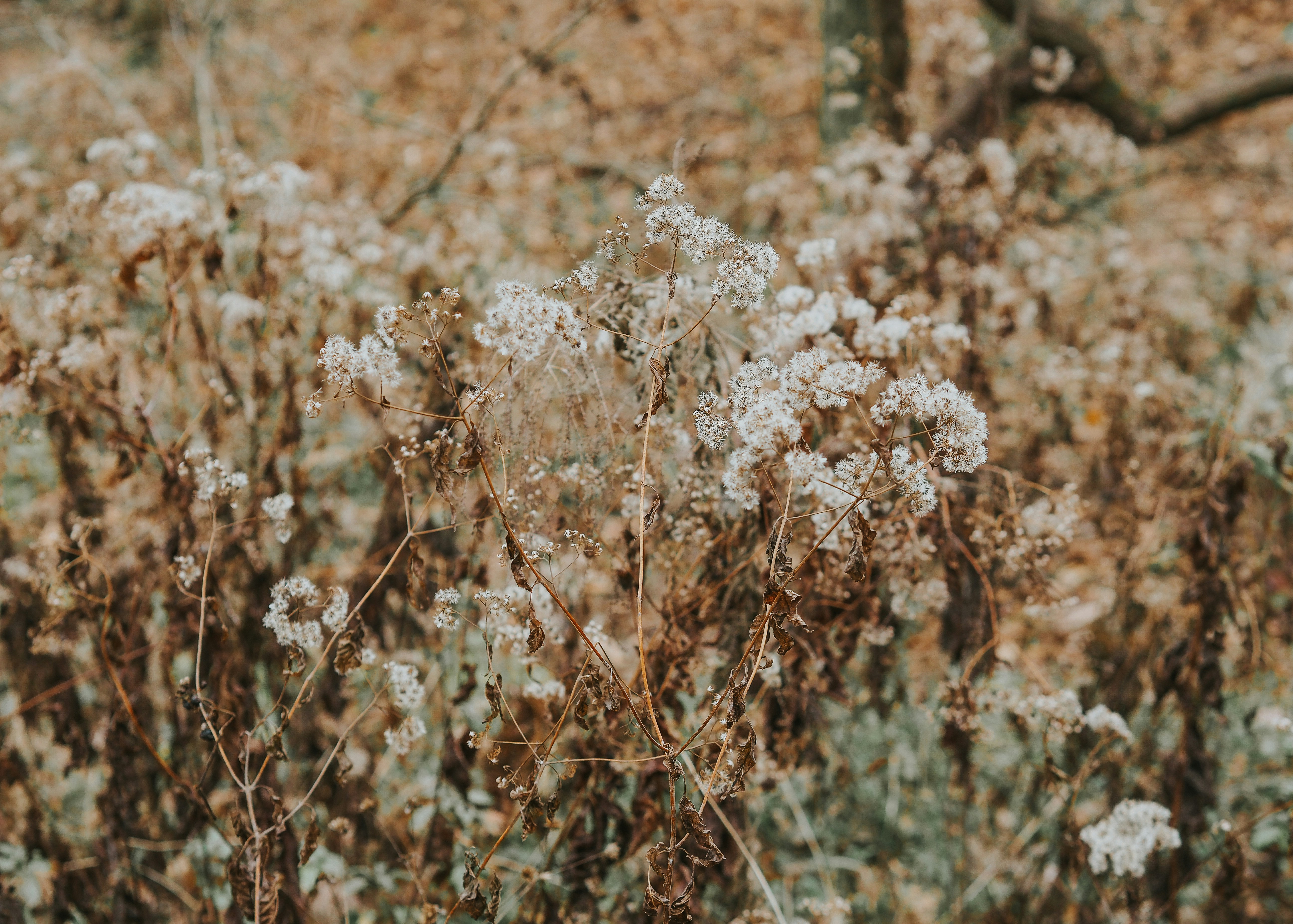 Photo by fieldworkframes