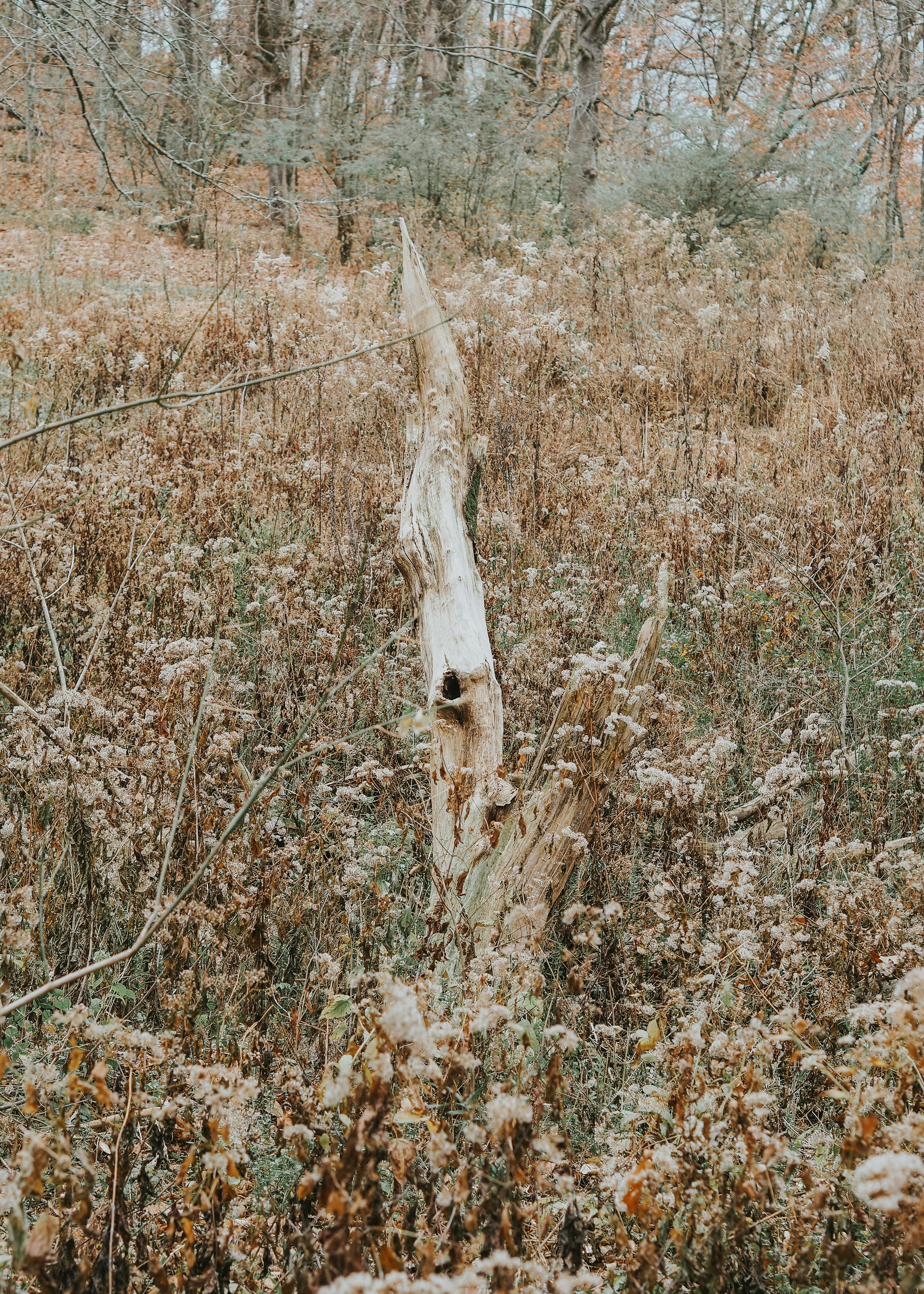 Photo by fieldworkframes