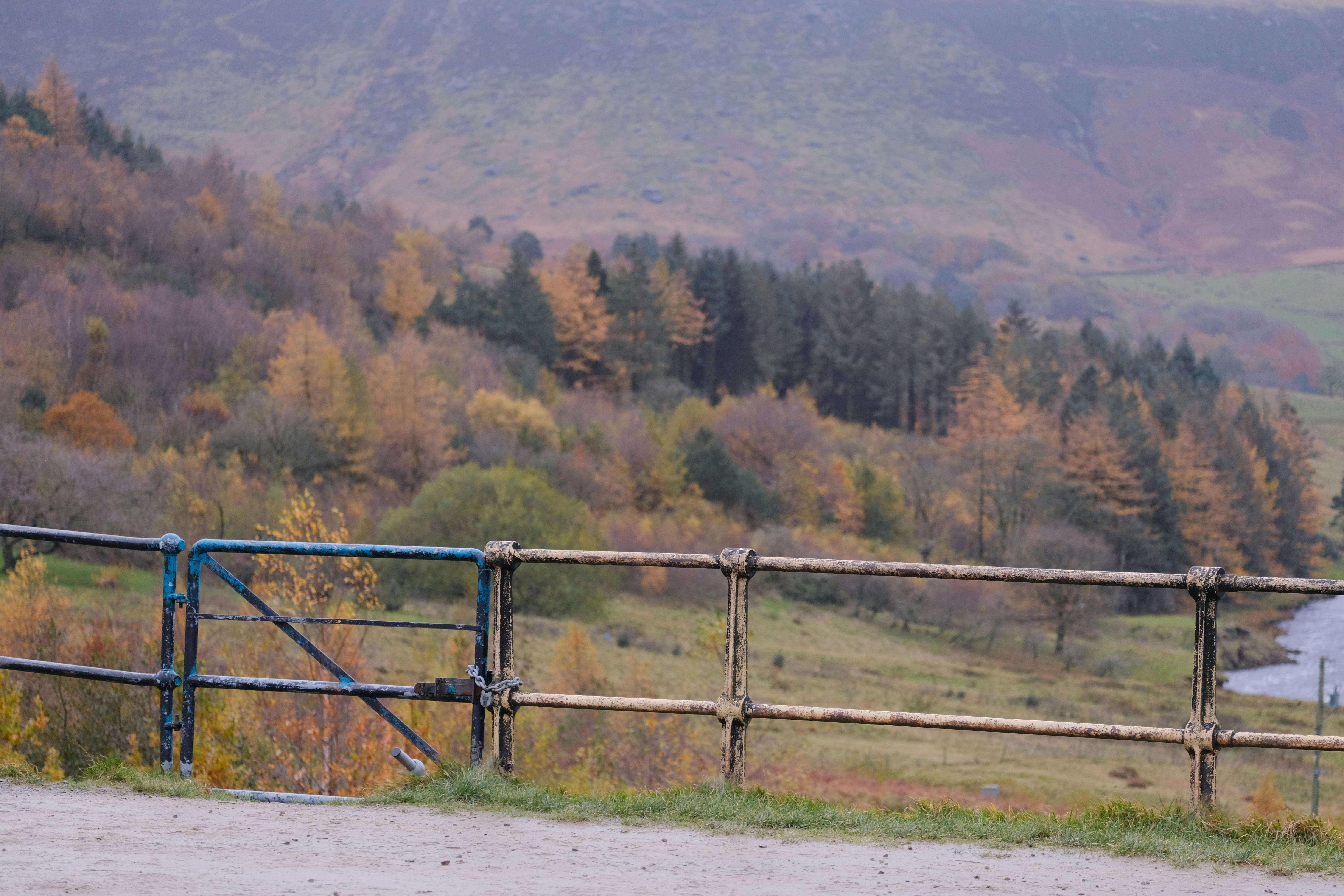 una oveja parada en la cima de una exuberante ladera verde