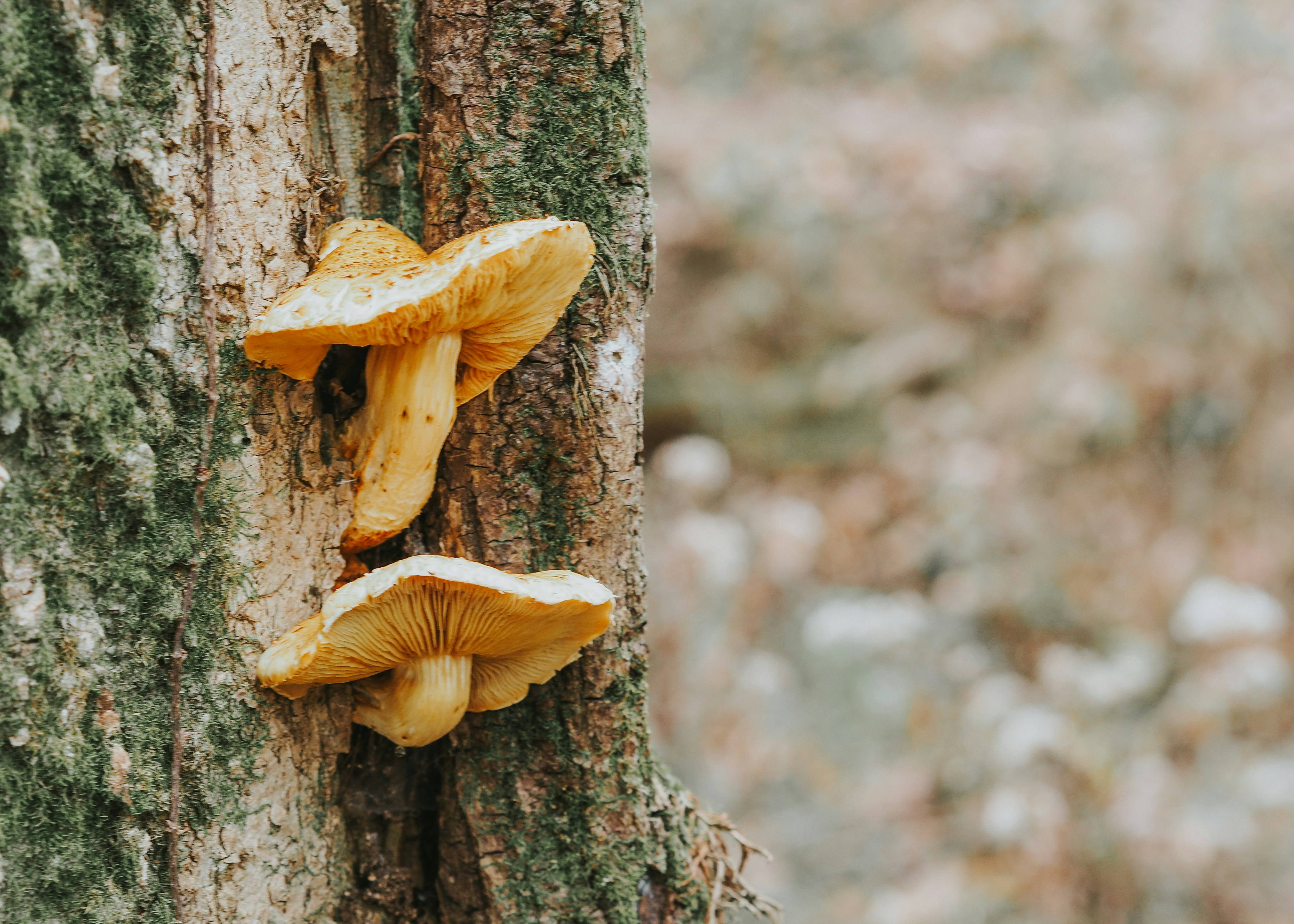 Photo by fieldworkframes