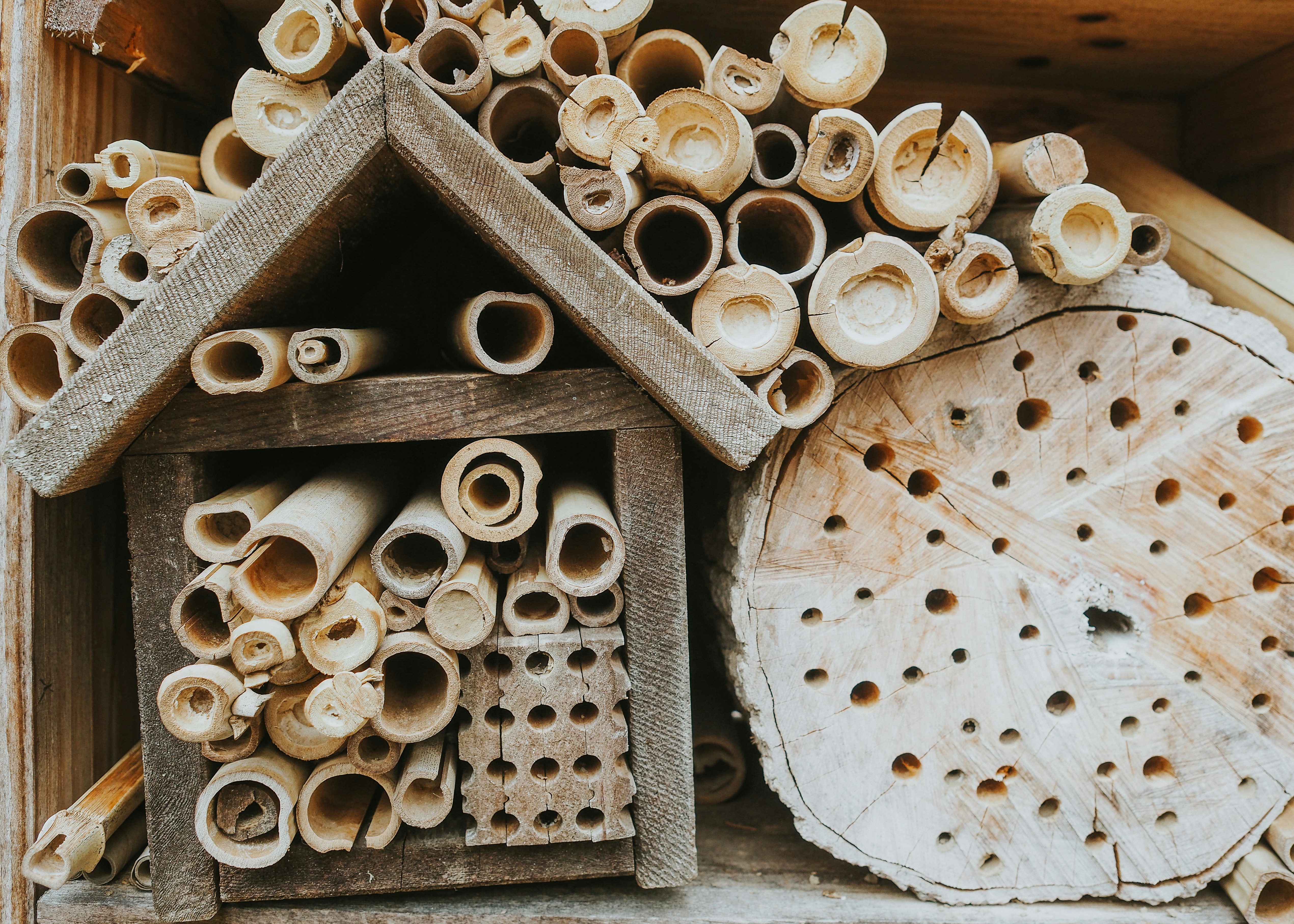 Photo by fieldworkframes