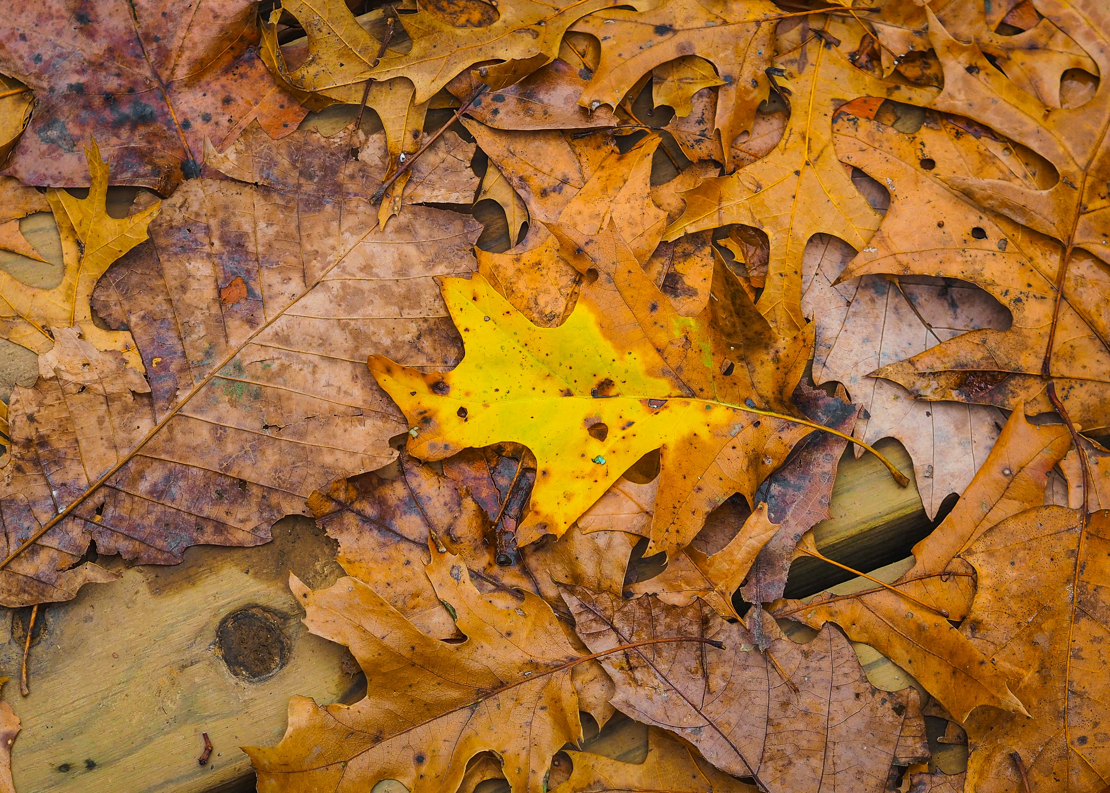 Photo by fieldworkframes