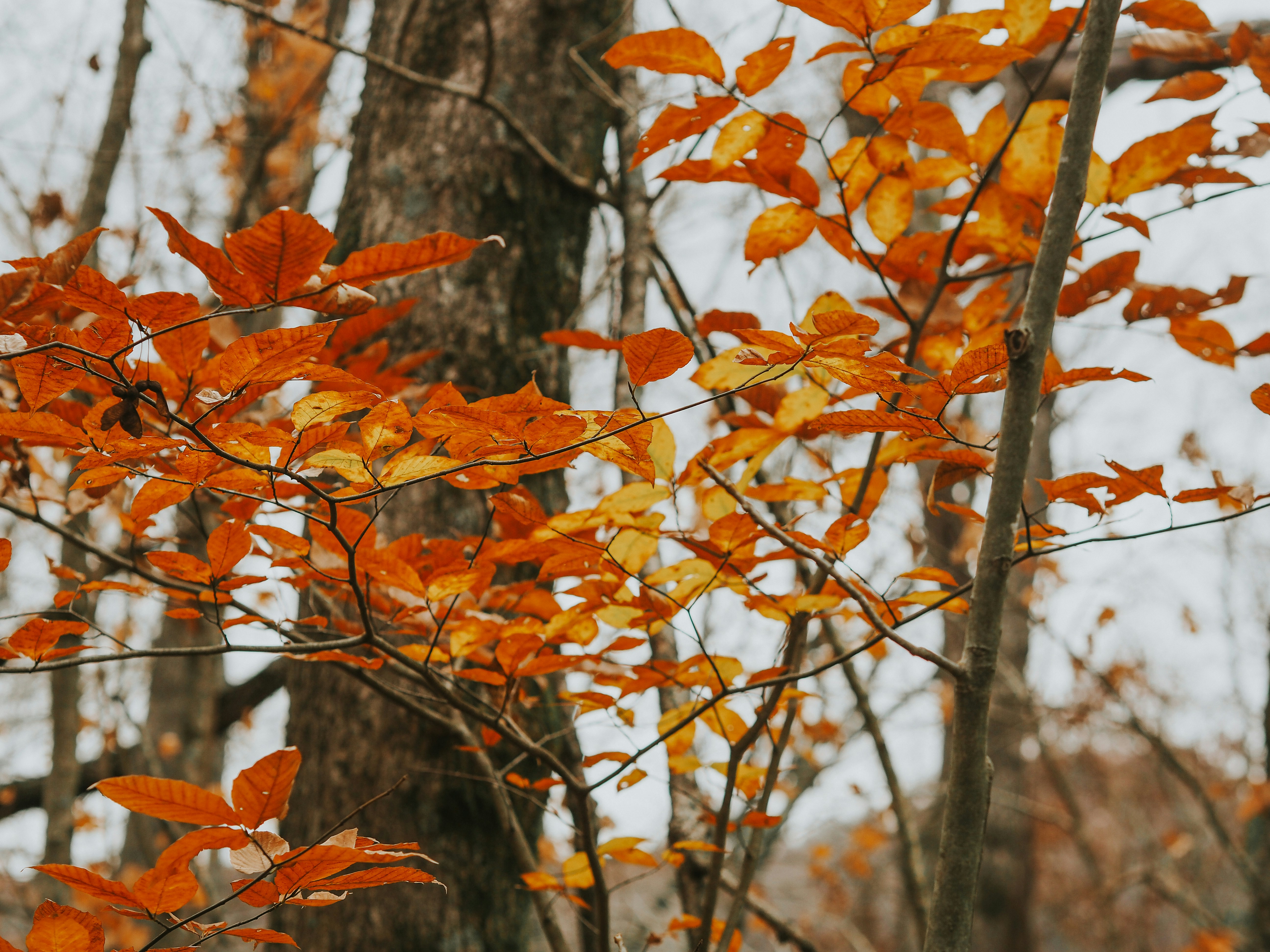 Photo by fieldworkframes