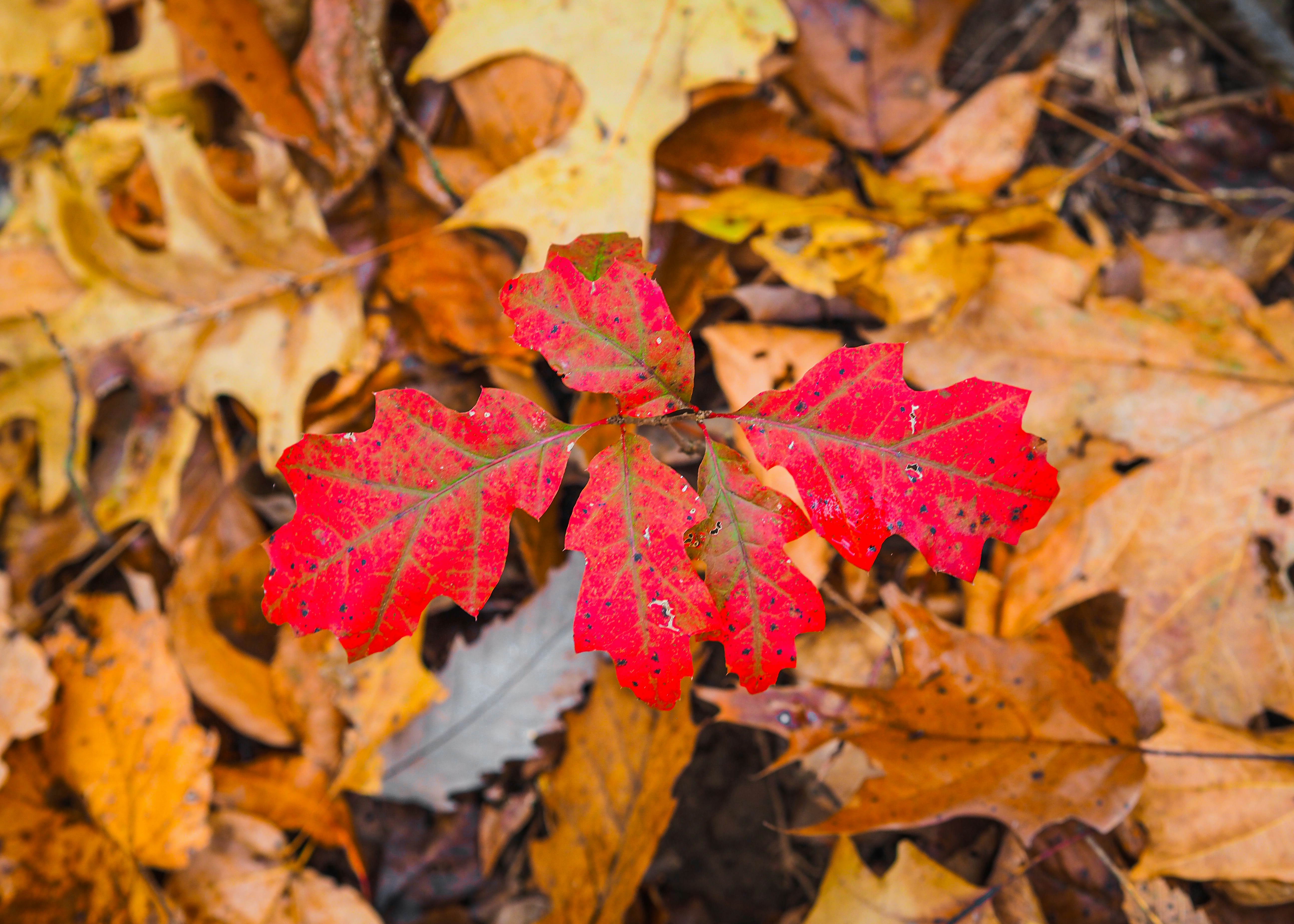 Photo by fieldworkframes