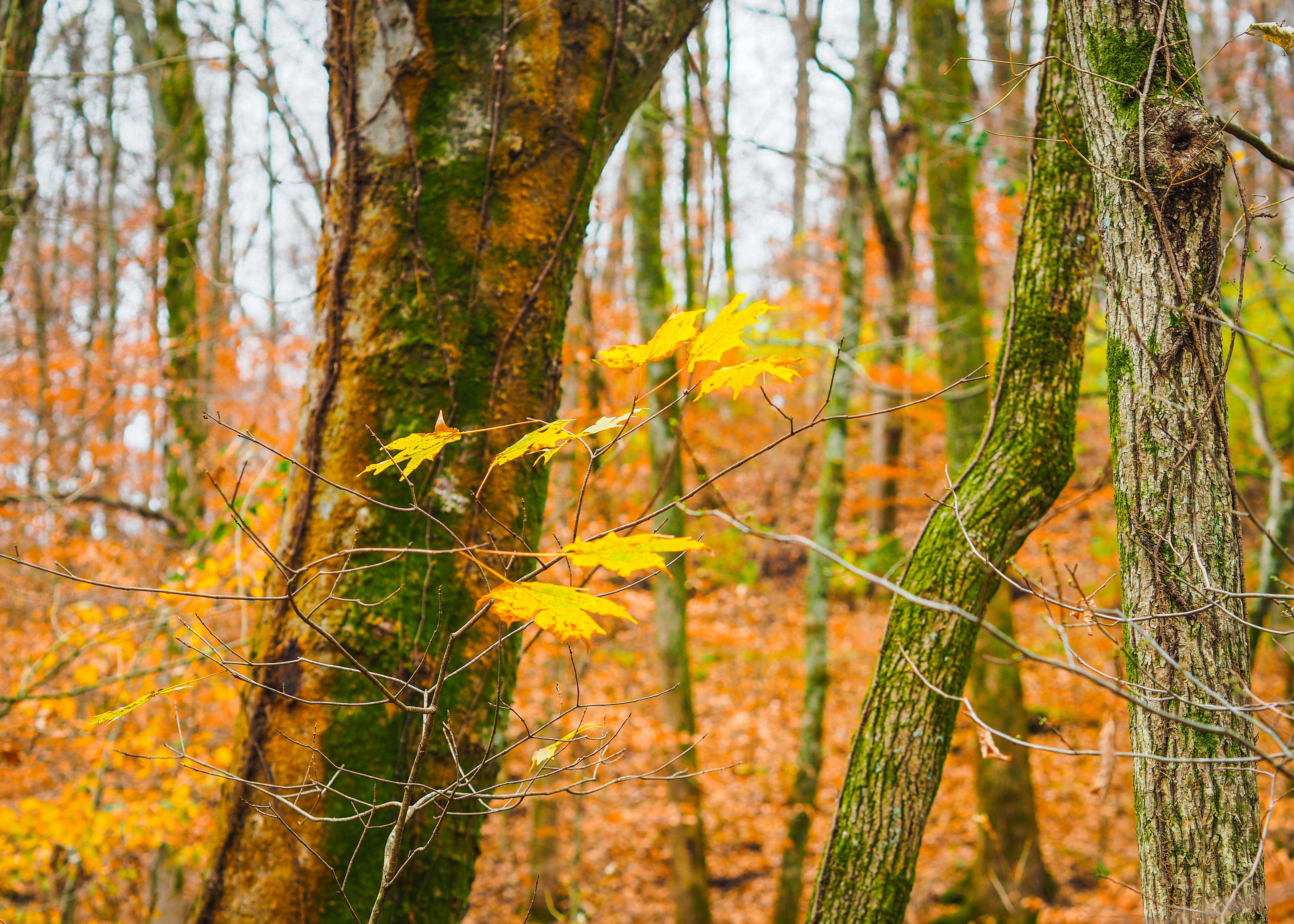 Photo by fieldworkframes