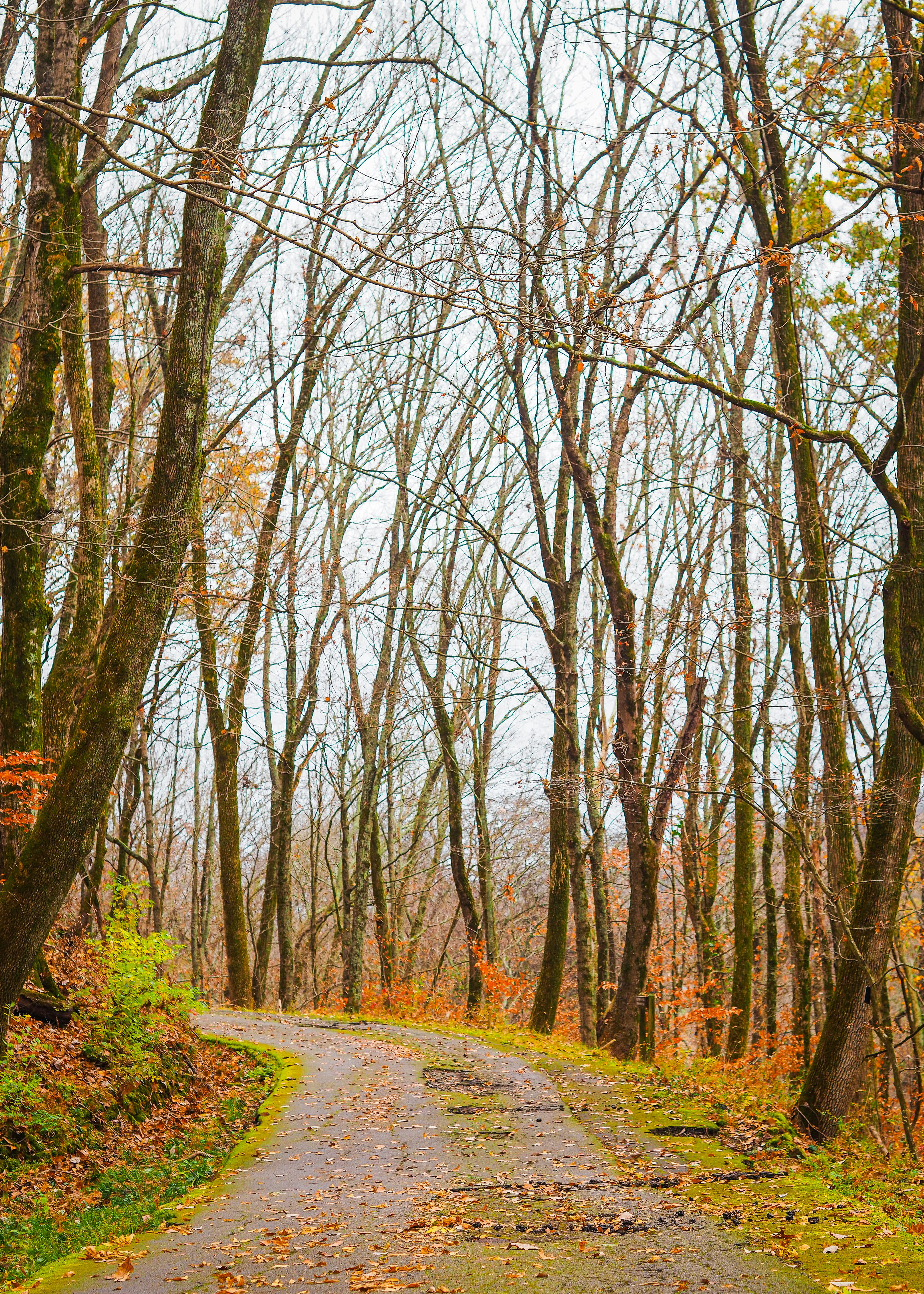 Photo by fieldworkframes