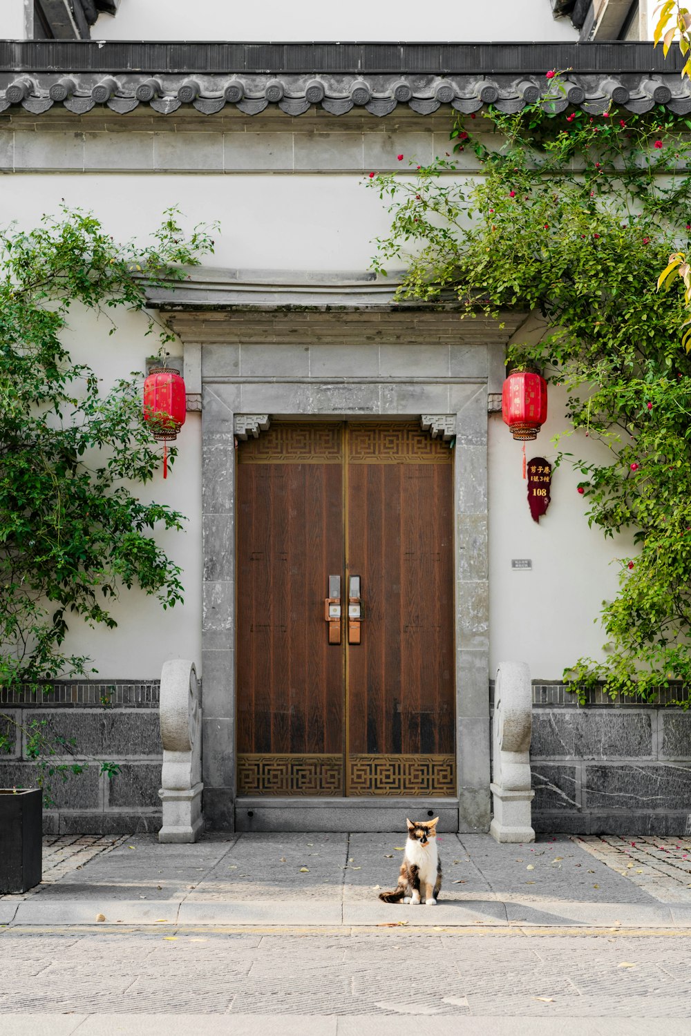 un chien est assis devant une porte