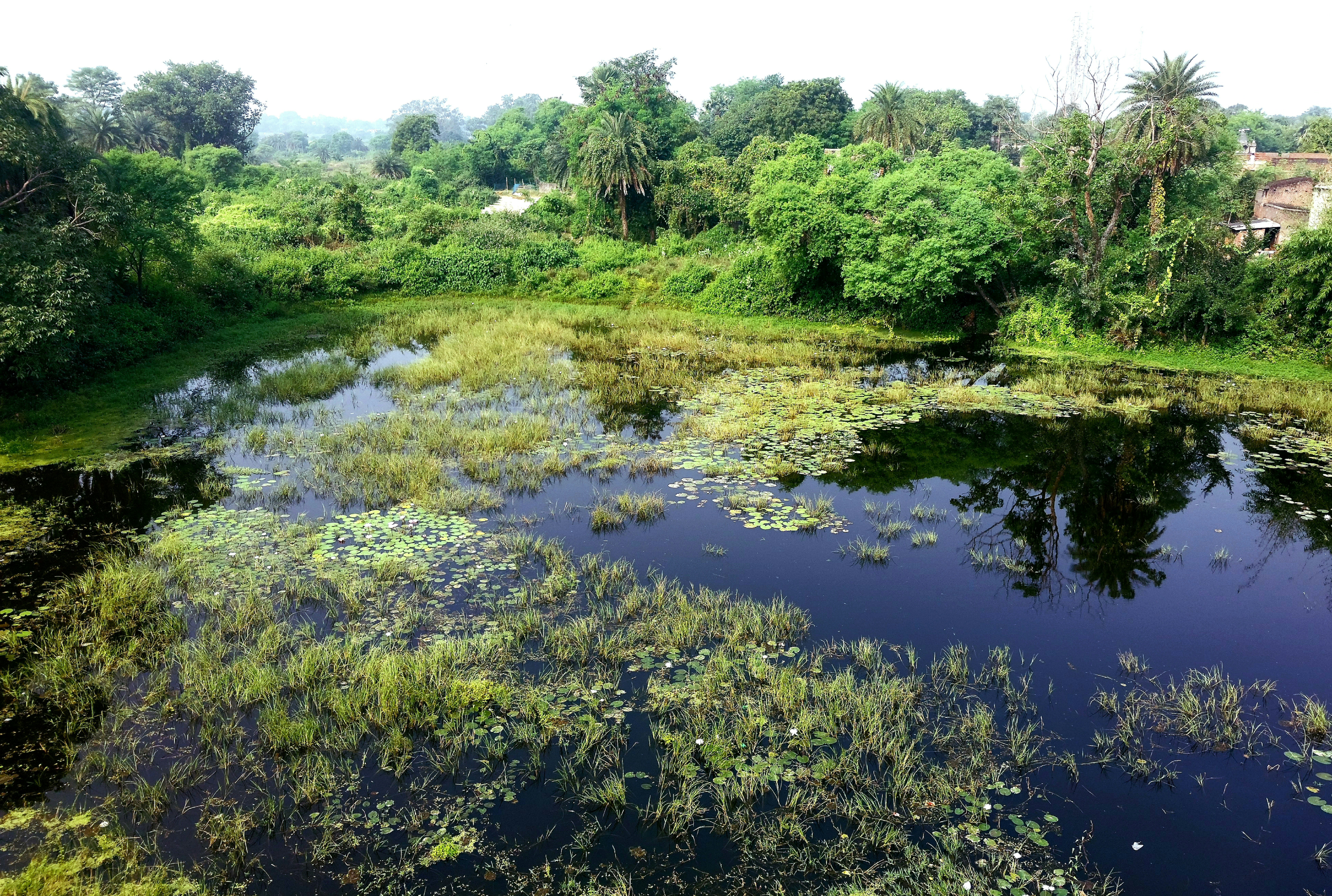 Photo by therainbowman