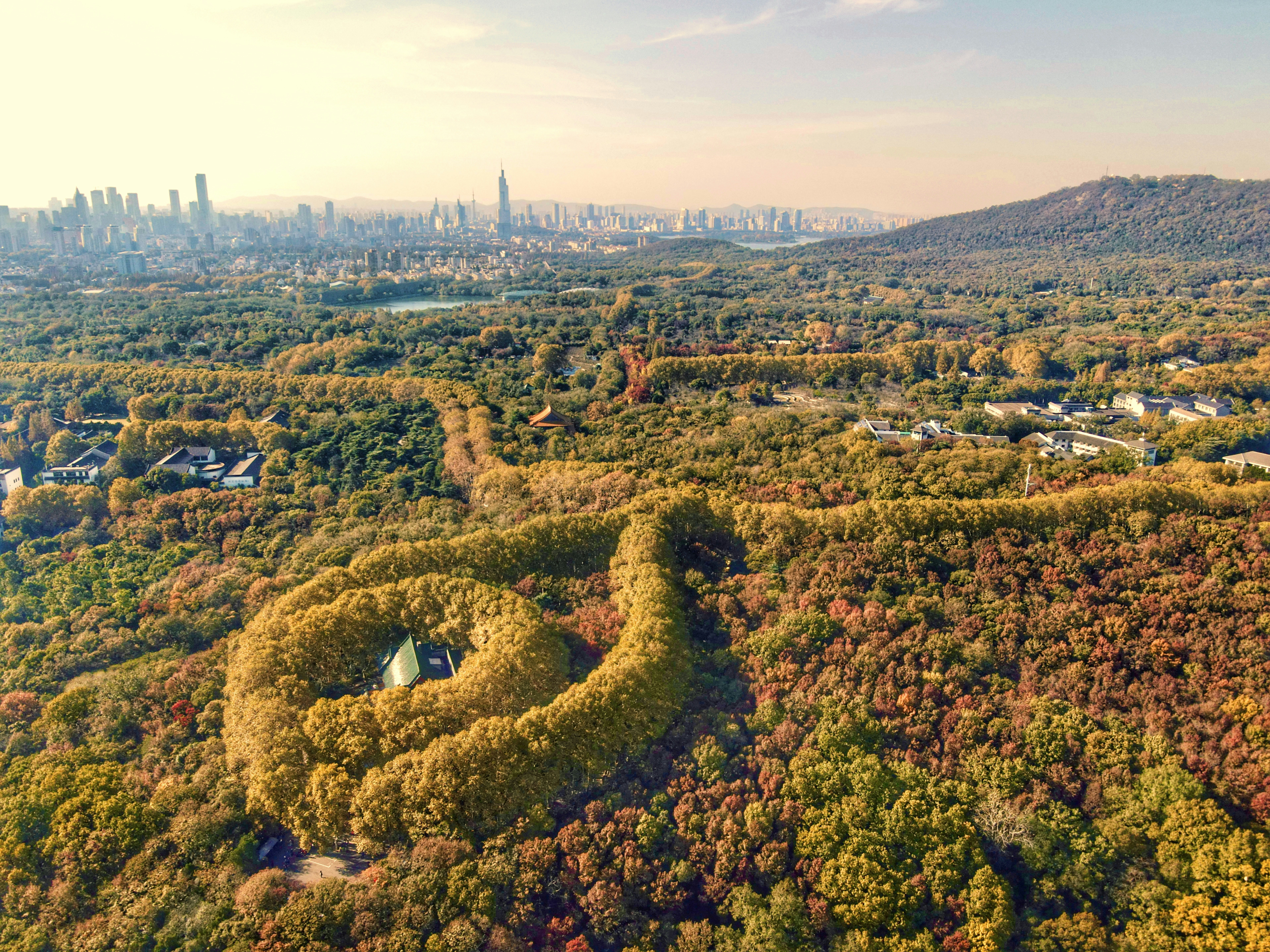 Una veduta aerea di una città e di un parco