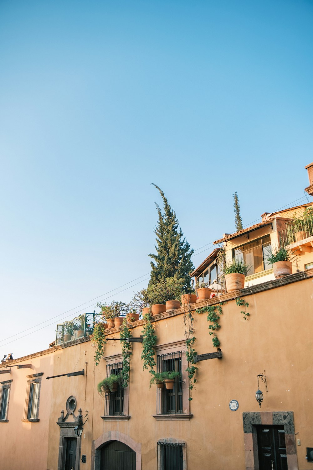 a building with a bunch of potted plants on it