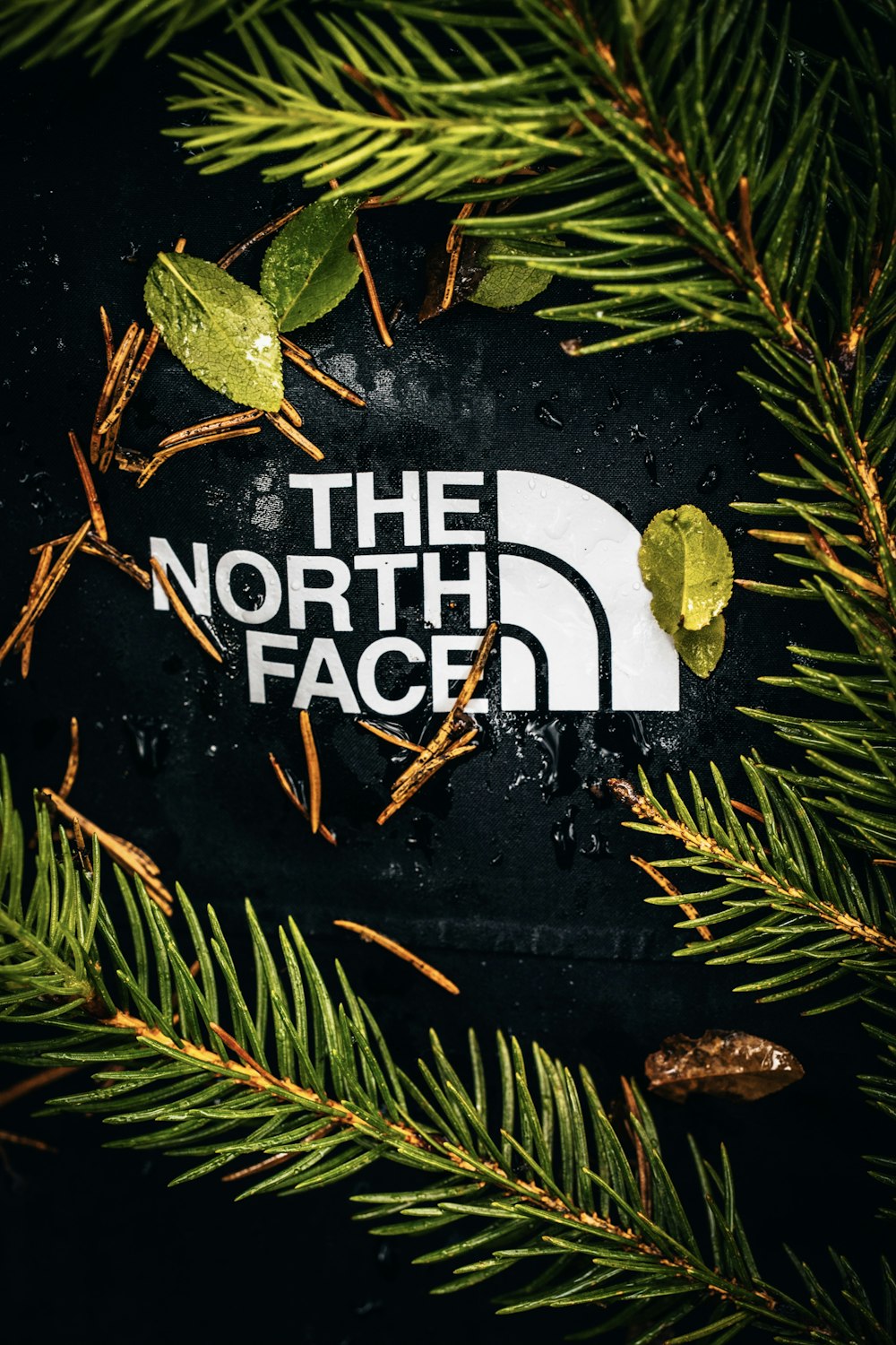 a close up of a pine tree with the north face sticker on it