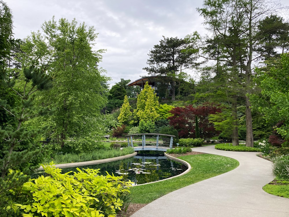 a garden with a pond and bridge surrounded by trees