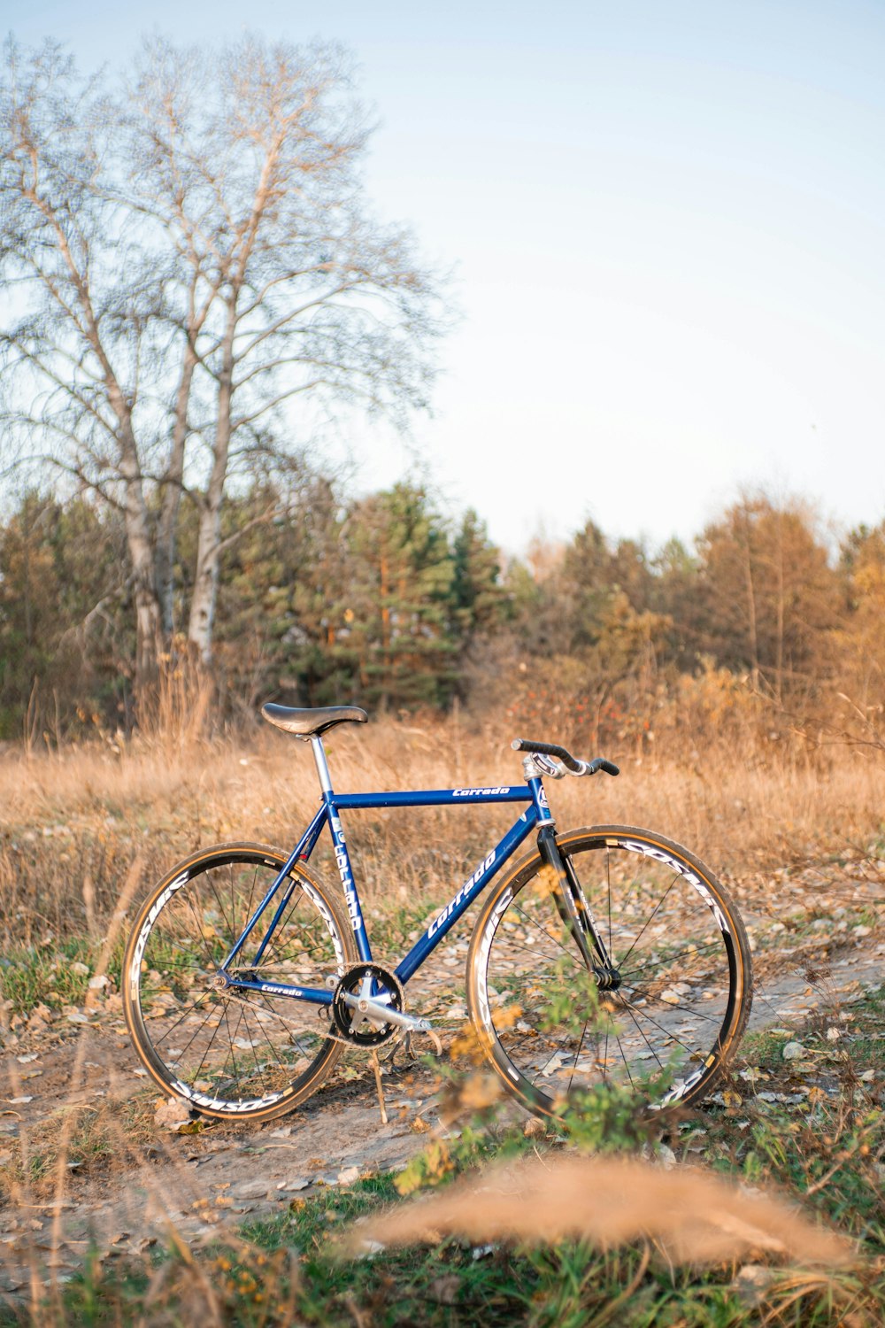 a blue bike parked on the side of a dirt road