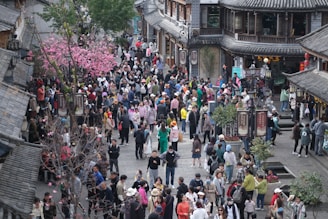 A vibrant street scene in Pasadena with cherry blossoms and Korean signage.