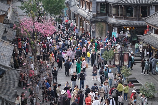 A vibrant street scene in Pasadena with cherry blossoms and Korean signage.