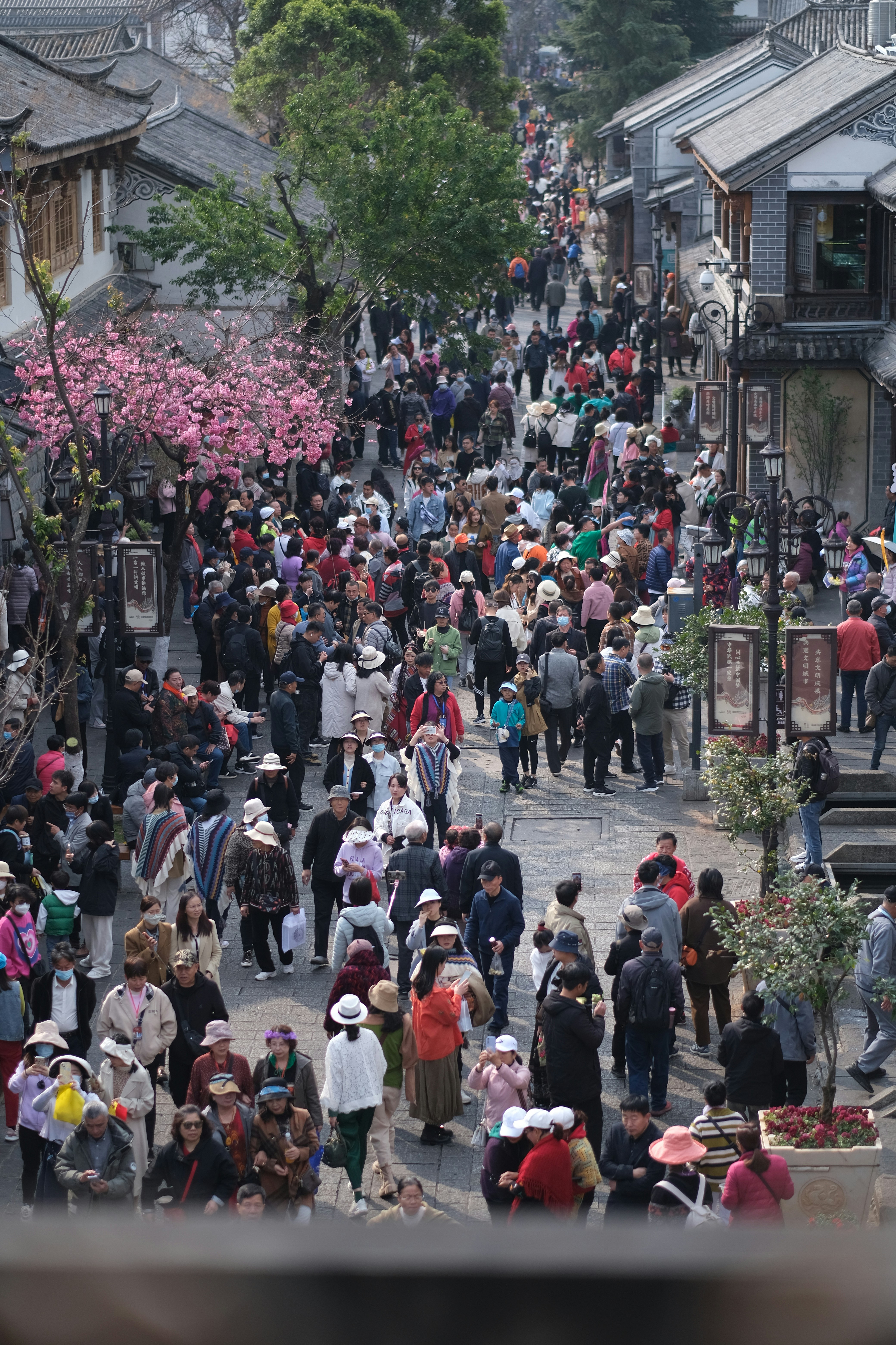 Photo by wenhao_ruan