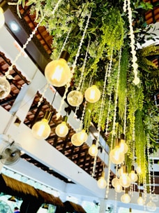 An arrangement of hanging light bulbs intertwined with green foliage, creating an artistic and lively installation. The lights give off a warm glow, contrasting with the lush greenery. The background features white structural elements and a wooden ceiling with beams.