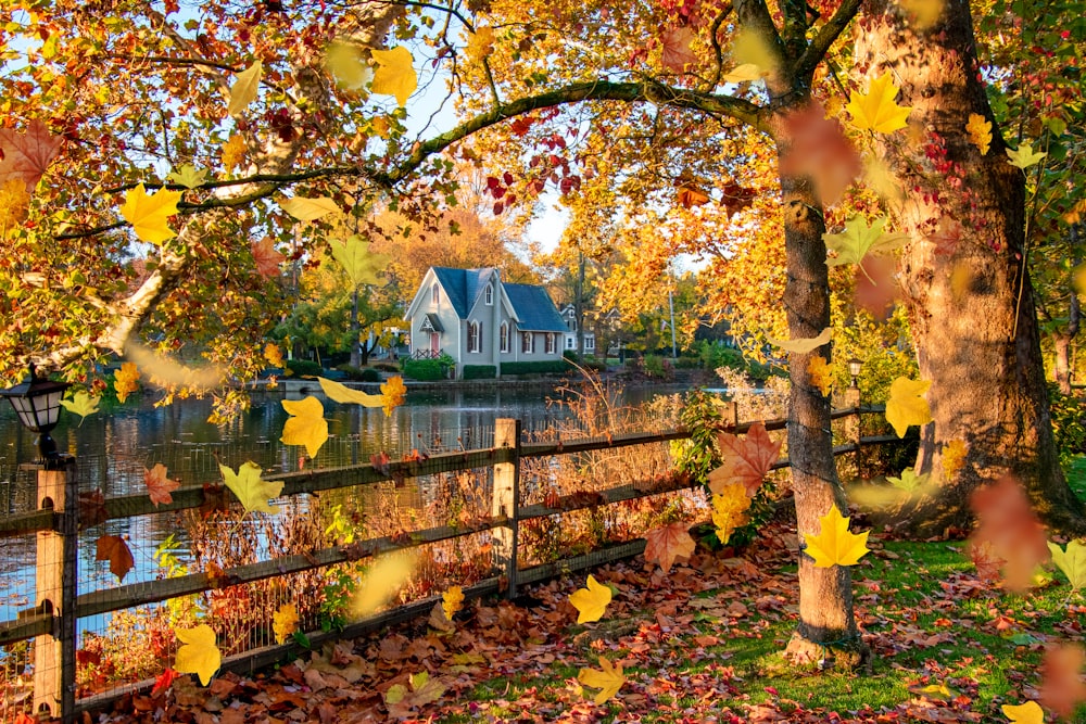 a house surrounded by fall leaves near a lake